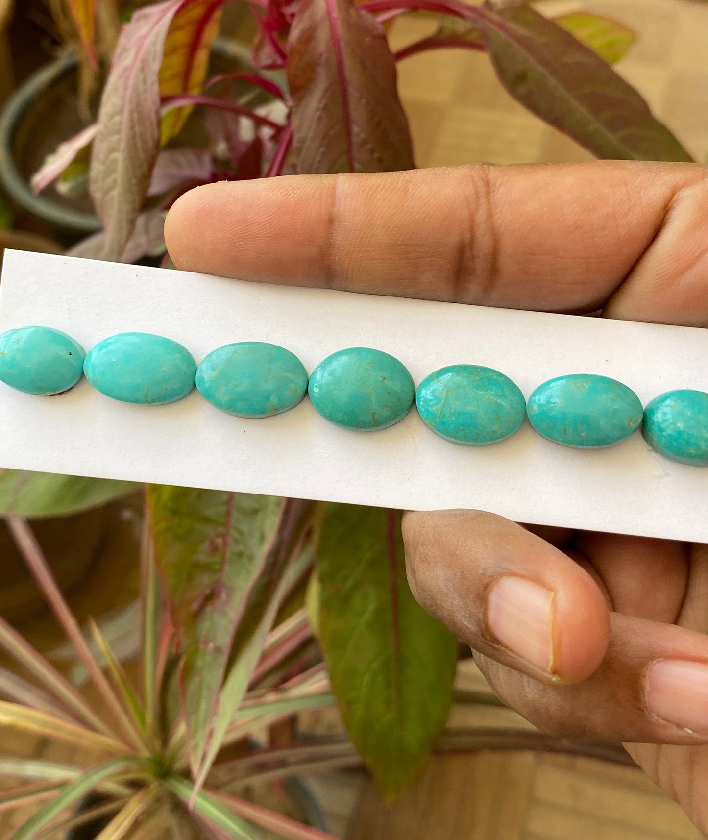 Attractive rare Turquoise cabochons bracelet natural Arizona mines smooth  ovals pcs 7 wt 53 carats 13x10-16.5x11mm turquoise cabochon