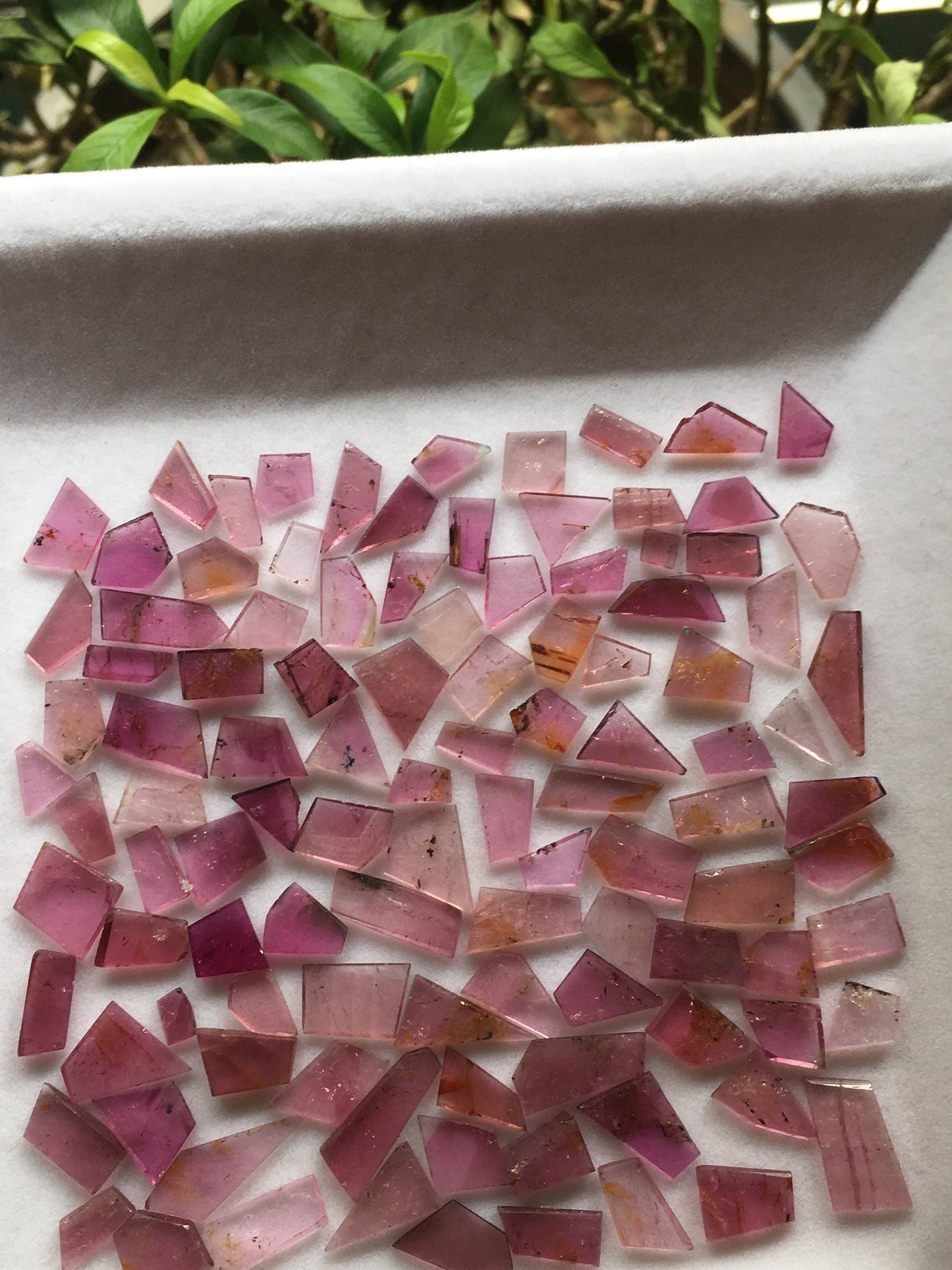 Pink tourmaline flats 6.3x5.4mm to 9.3x6.9mm 72.45 carats 106 Pcs