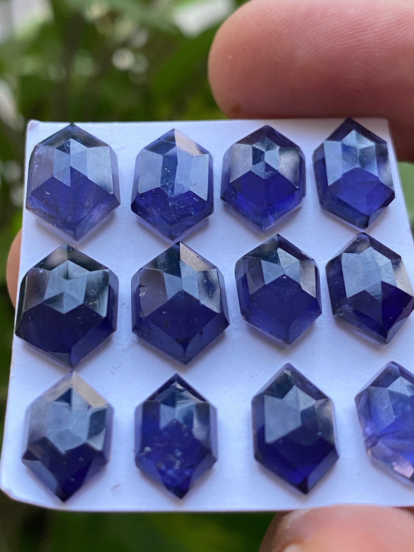 AAA quality Iolite hexagon step cuts weight 39 cts pcs 12 size 12x7.3mm-14.6x9.7mm Iolite stepcut hexagon