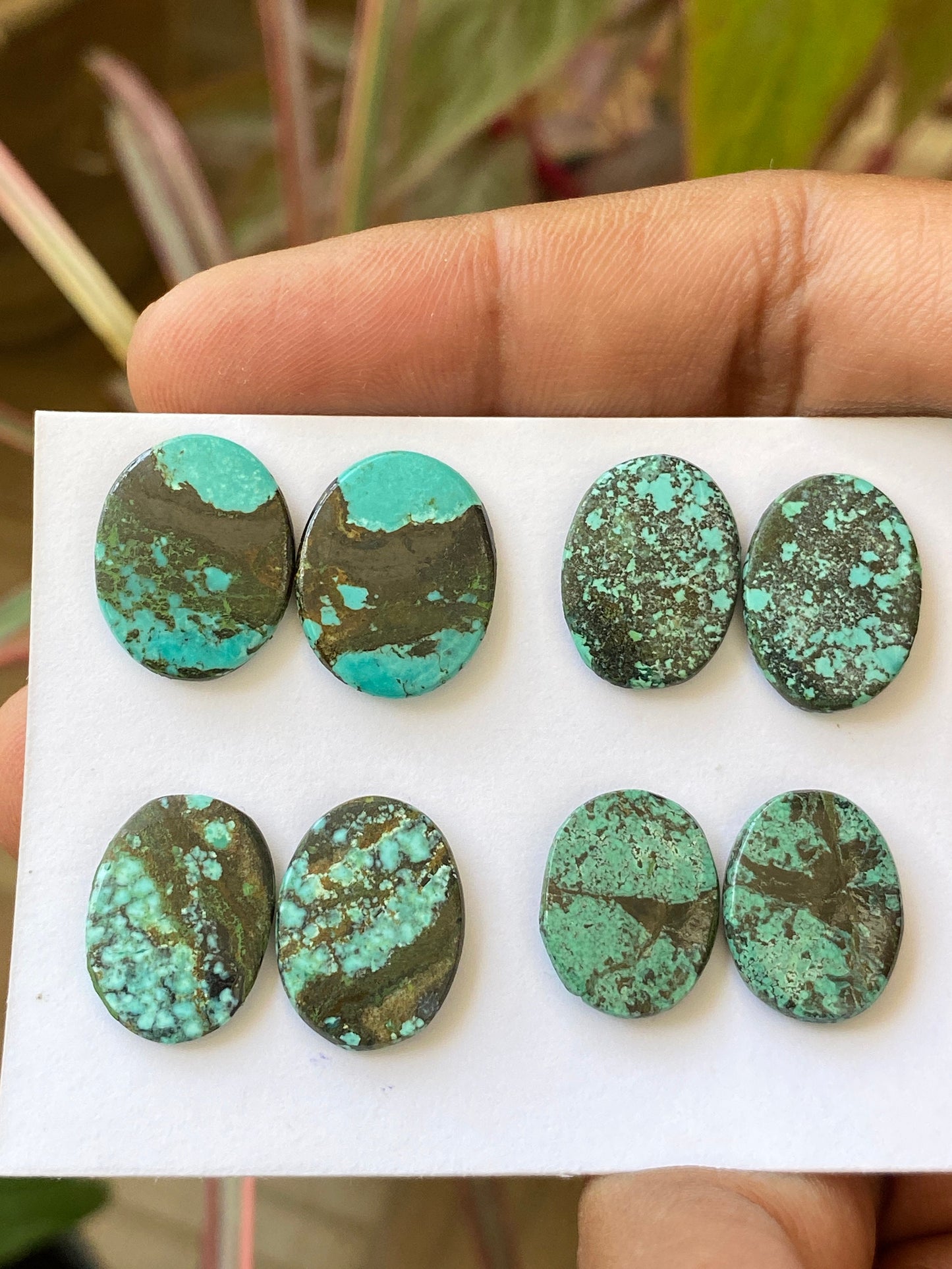 Rare Turquoise pair natural hubei mines rare pattern  smooth turquoise pcs 8 wt 39 carats size 12x14-15x12mm turquoise earrings supply