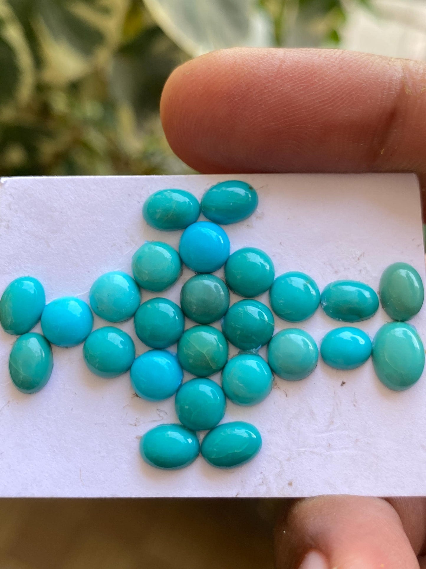 Rare Arizona mines Turquoise oval cabochons  natural smooth pcs 25 wt 19.10 cts 6.3x5.1mm-8.3x6.2mm sleeping beauty turquoise cabochons