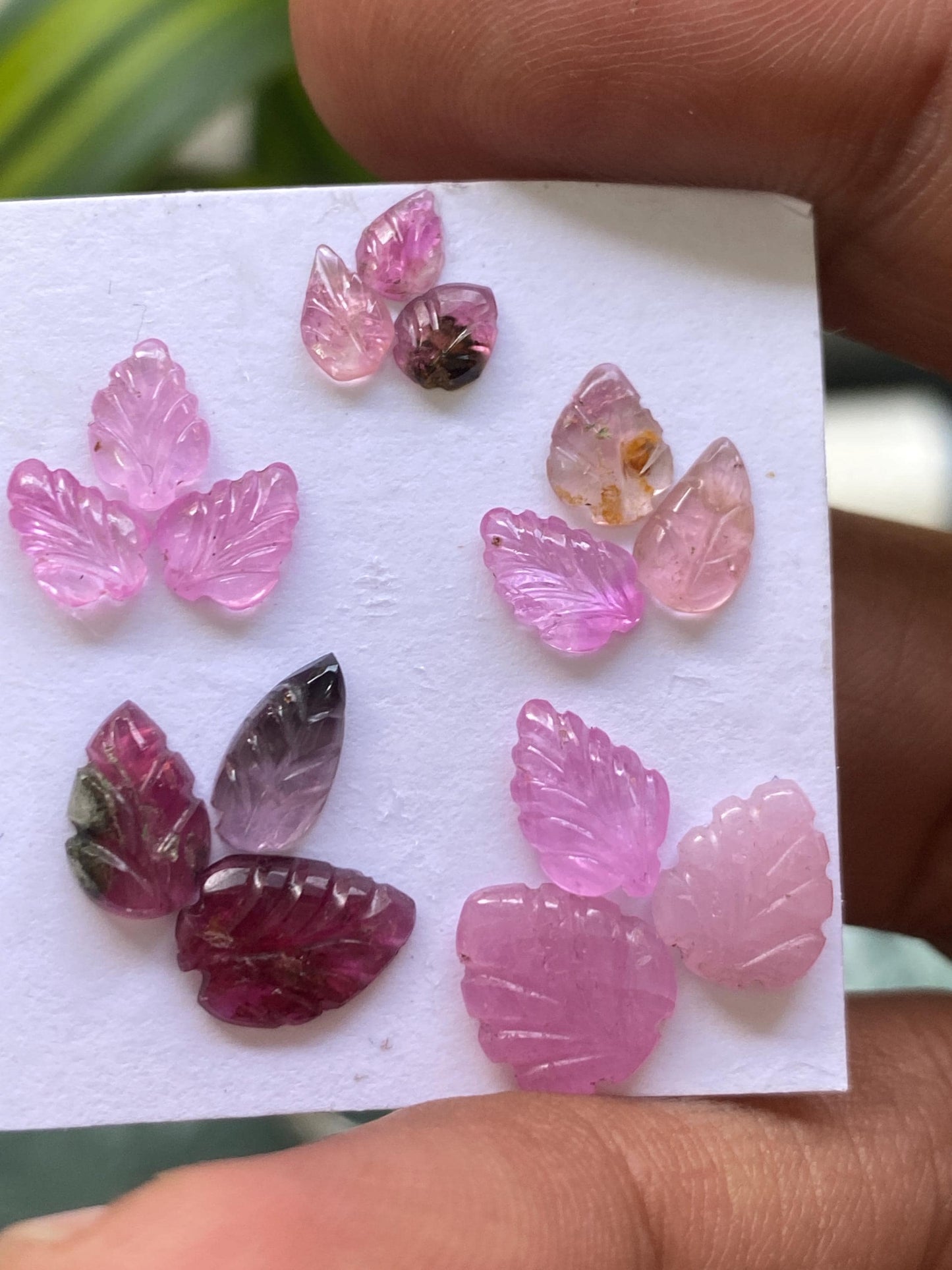 Stunning pink sapphire Watermelon tourmaline leaves carvings wt 11.70 carats pcs 15 size 5x3.8mm-10.2x8.6mm leaf carving