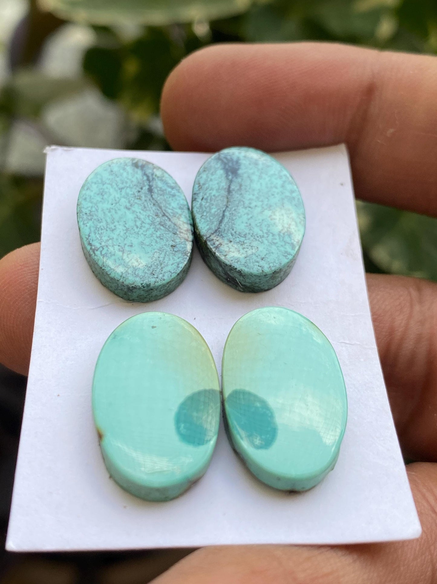 Awesome Turquoise pairs natural hubei mines smooth polished cloud mountain pcs 4 wt 42 carats 19x13mm-21x13mm turquoise earrings supply