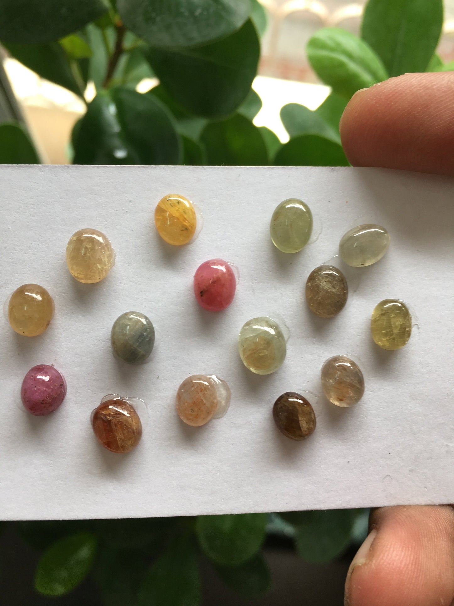 Natural umba sapphire cabochons wholesale lot weight 32.60 carats size 7.6x6.3mm to 8.7x7.4mm pcs 15 natural unheated untreated sapphire