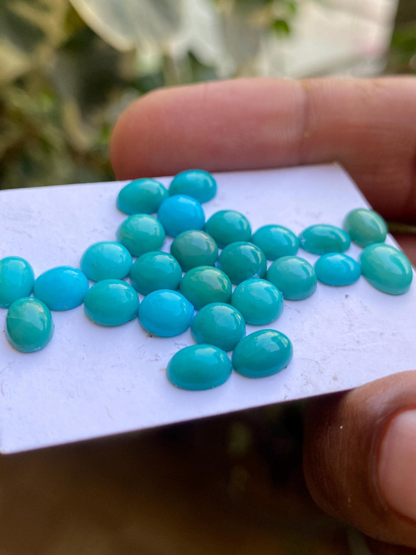 Rare Arizona mines Turquoise oval cabochons  natural smooth pcs 25 wt 19.10 cts 6.3x5.1mm-8.3x6.2mm sleeping beauty turquoise cabochons