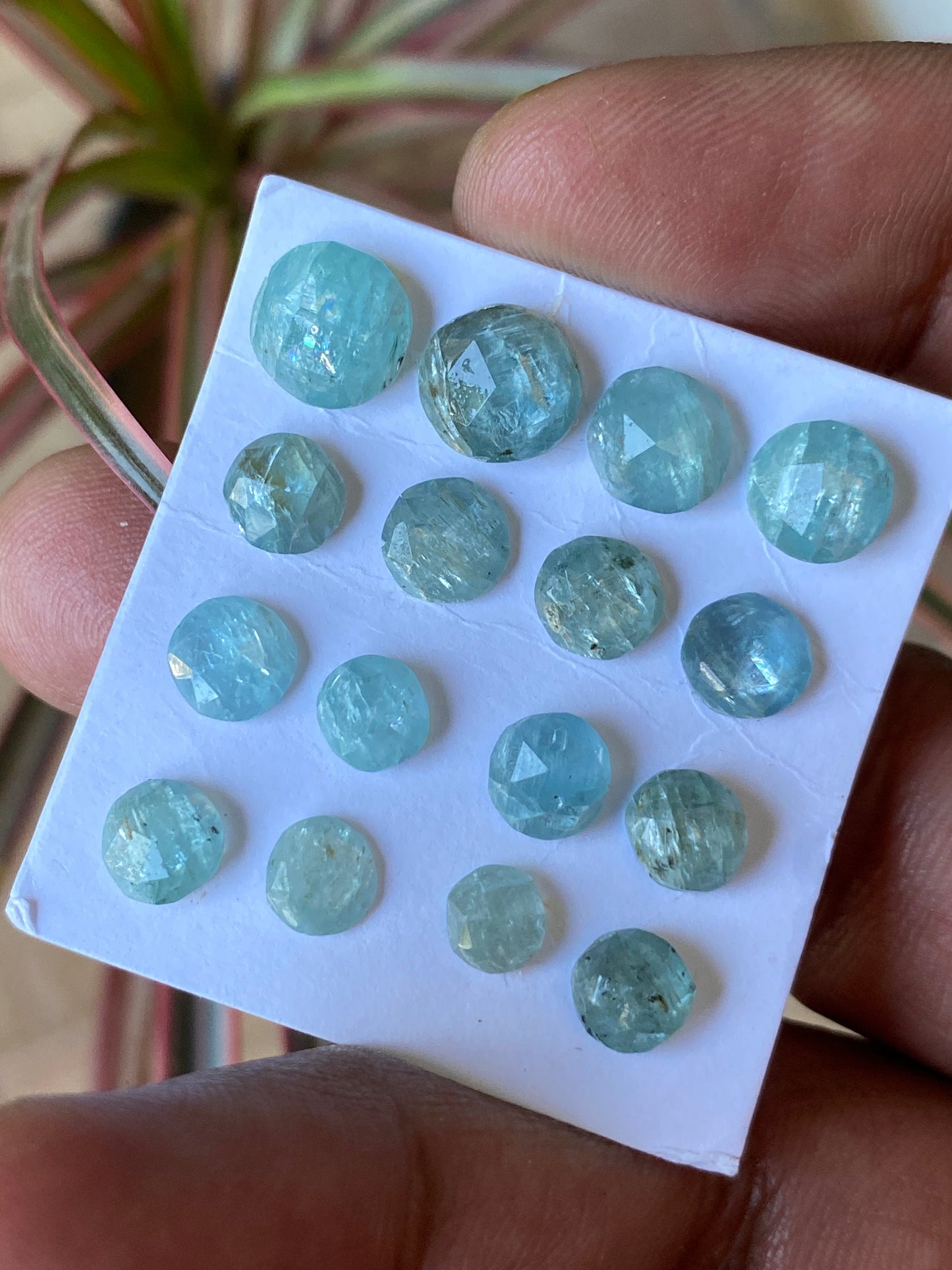 Nice rare aqua kyanite rosecut round flats medium quality with inclusion lovely color weight 24 carats pcs 16 size 5.3mm-8.6mm rosecut