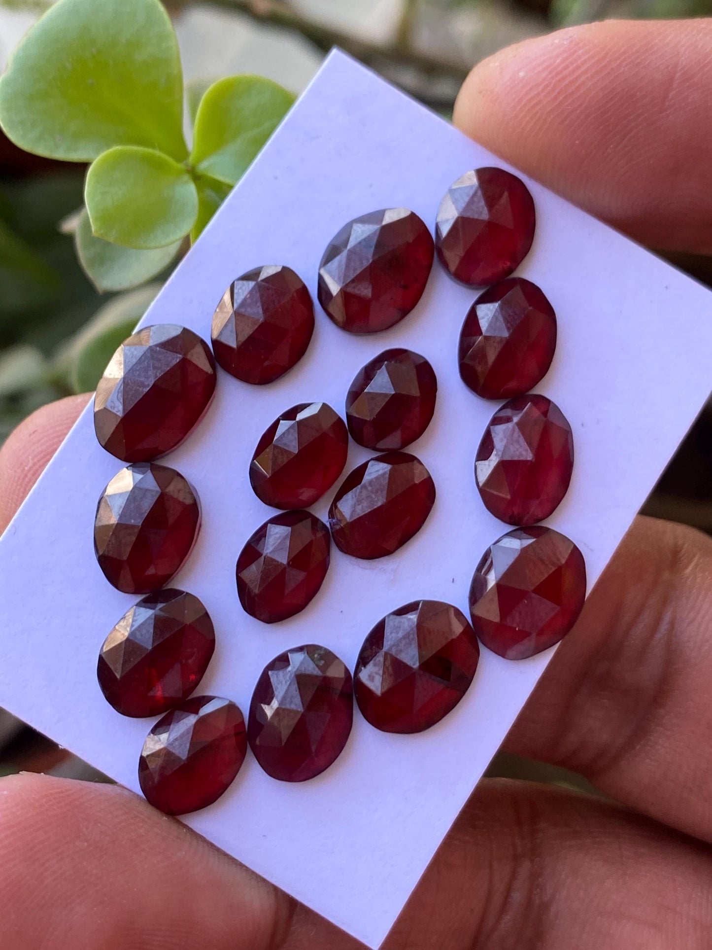 Delightful rare rosecut red garnet fancy garnet rosecut 8.2x6.5mm-10x8mm pcs 16 wt 37.60 cts mix sizes and mix shapes orange garnet rosecut