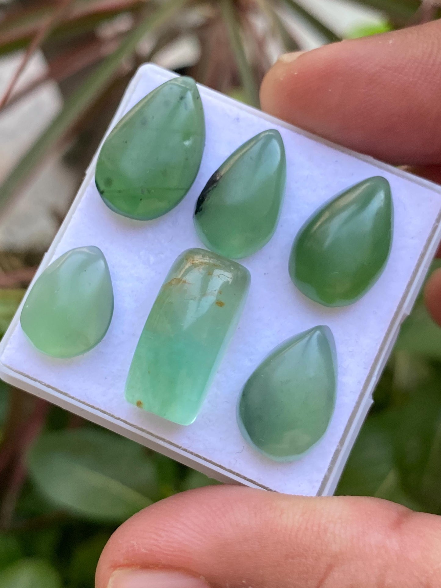 serpentine cabochons gems beautiful green cabochons pcs 6 wt 44.55 carats size  13x10-19x9mm serpentine cabochons