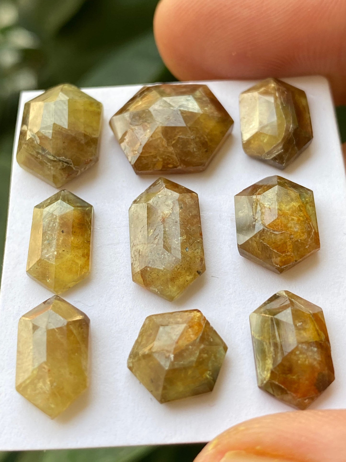 Stunning very rare big yellow golden sapphire hexagon sheen sapphire wt 43.50 carats pcs 9 size 9mm-13.5x13mm  rare sapphire hexagon stepcut