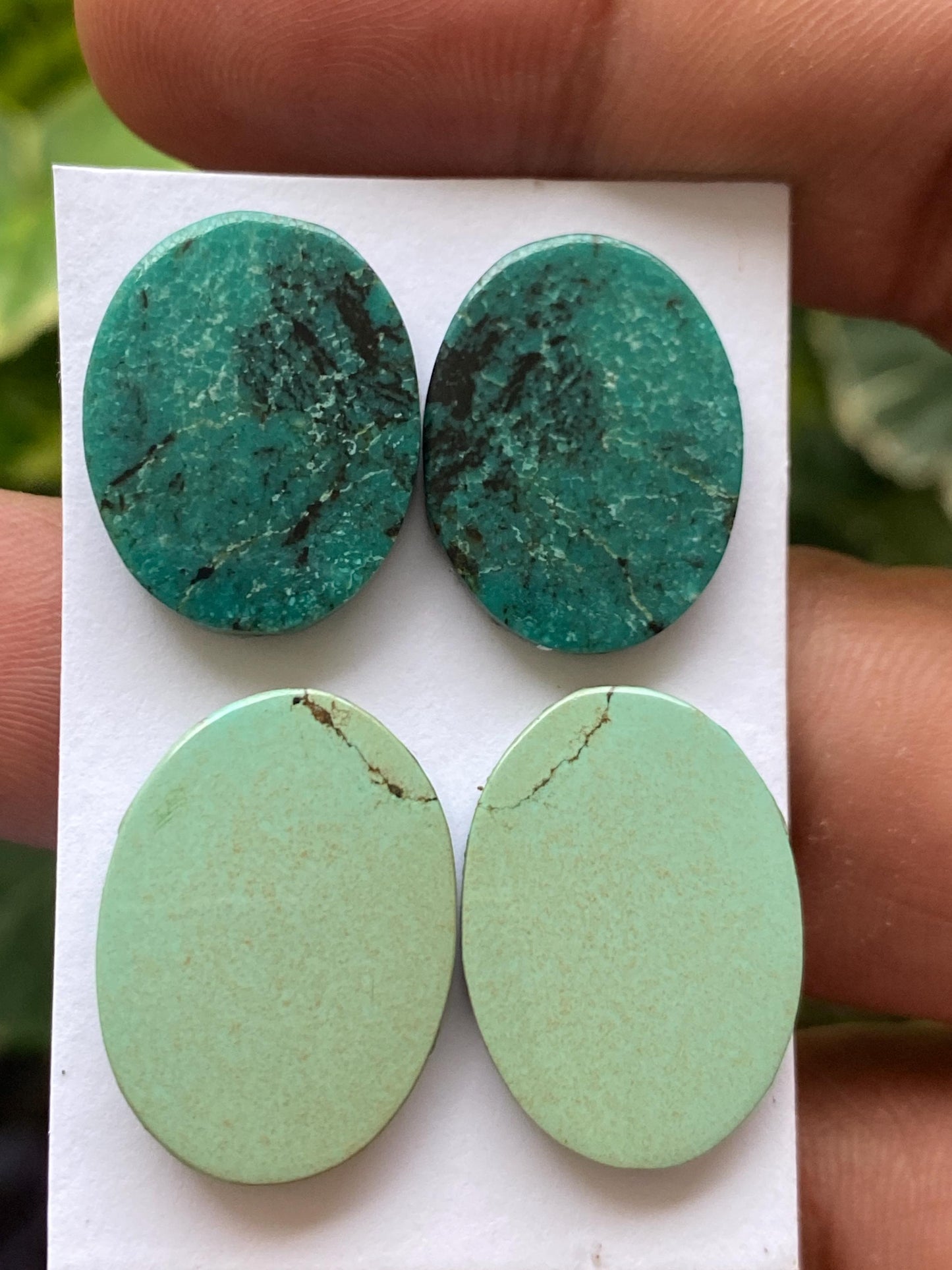 Lovely Turquoise pairs natural hubei mines smooth polished cloud mountain pcs 4 wt carats turquoise earrings supply