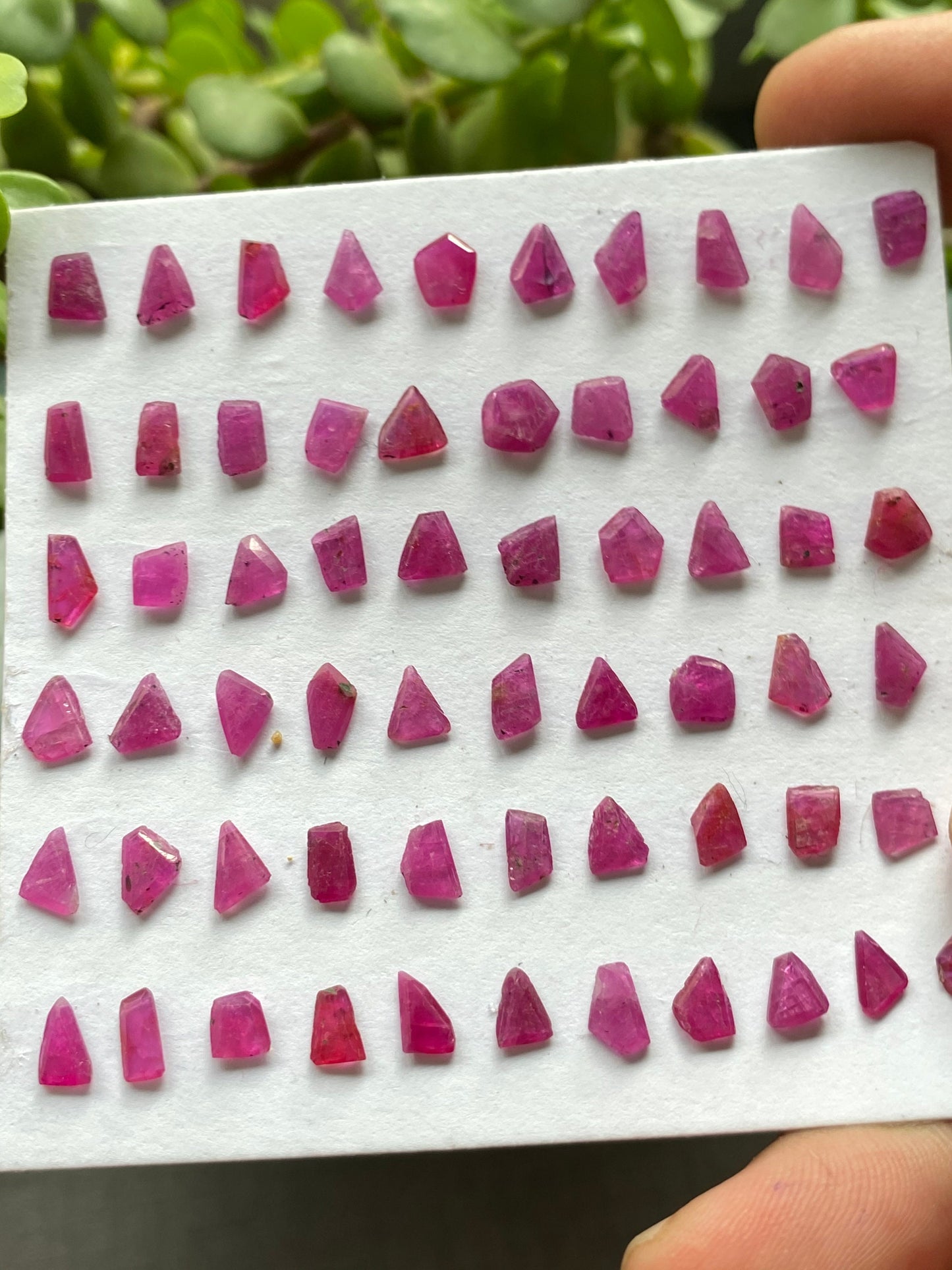 Rare ruby flats step cut side faceted flats weight 25.35 cts pcs 61 size 4.7x4.4mm-6.4x6.2mm natural unheated untreated ruby  small size