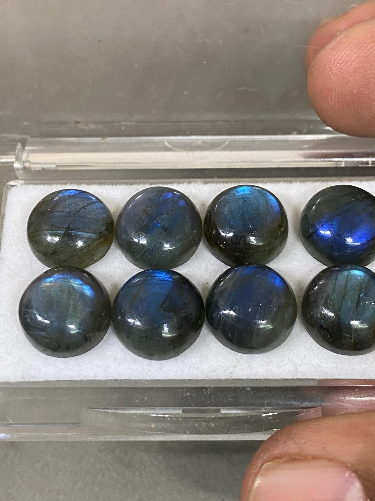 Labradorite blue fire round Cabochons Good Quality  flashy size  12mm wt 53.50 carats pcs 8 labradorite cabochons