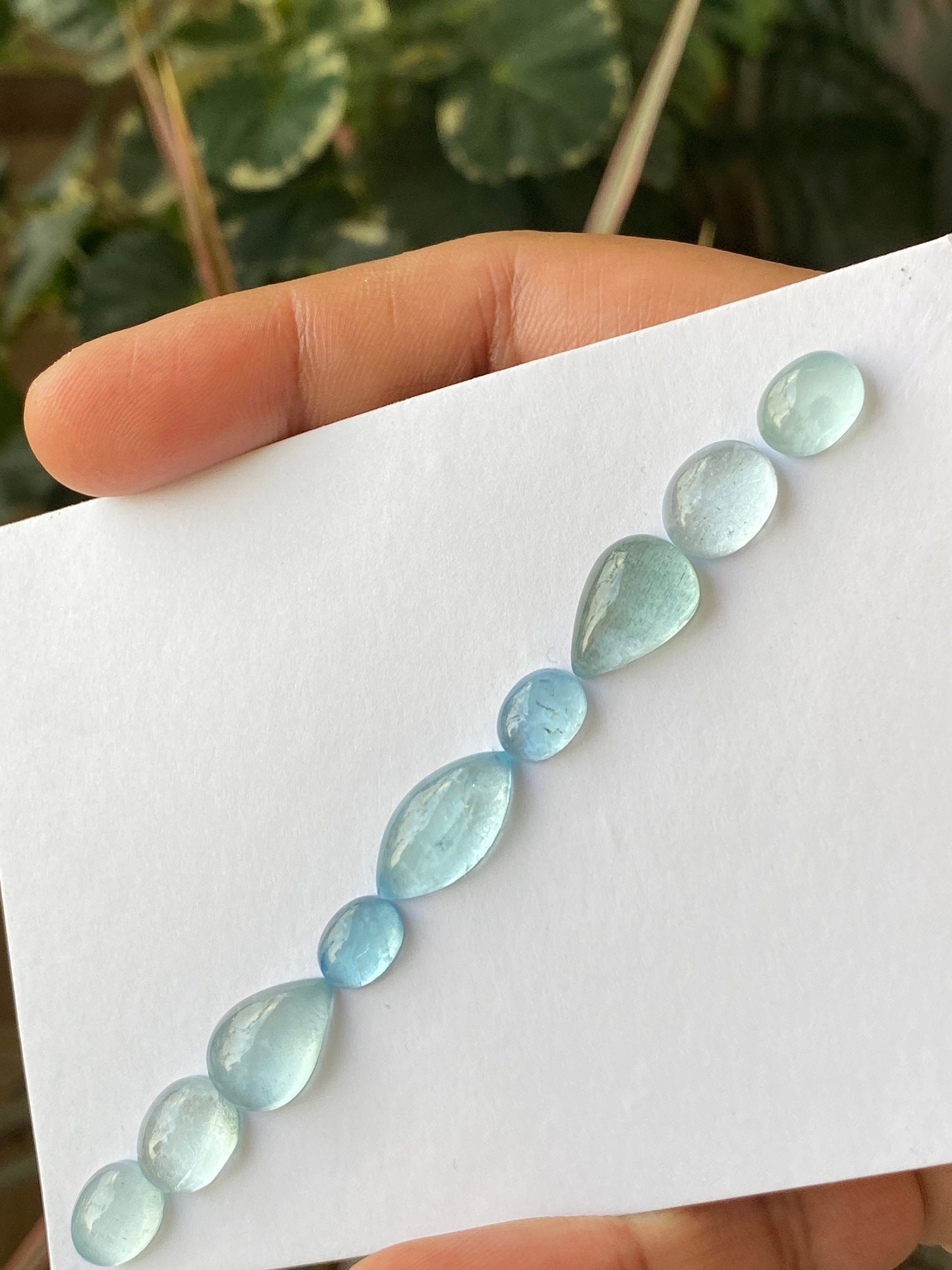 Delightful rare Aquamarine Fine quality cabochons  bracelet supply  pcs 9 wt 33 carats Size 10x7mm-18x9mm aquamarine cabochons flats