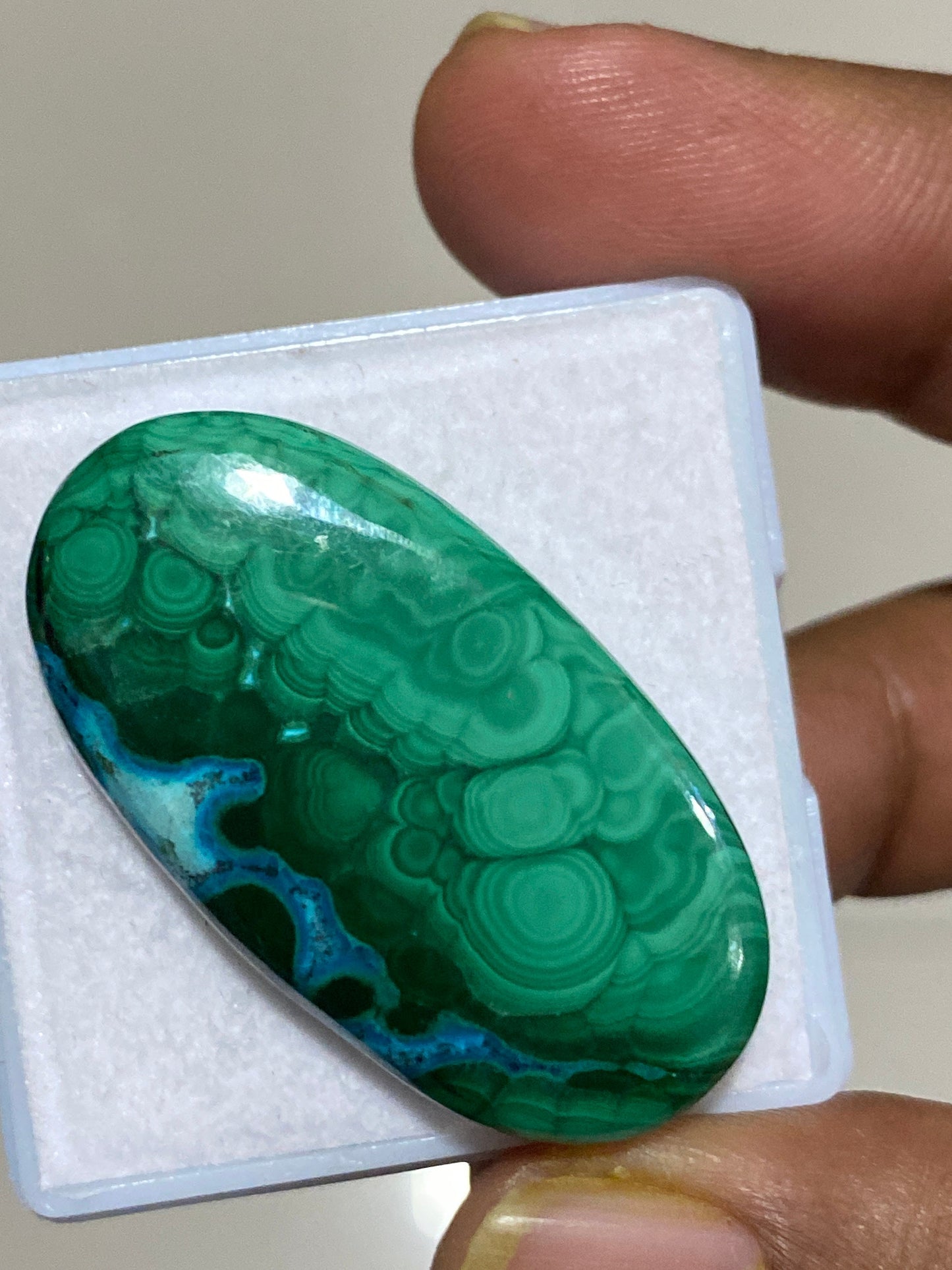 Fascinating rare huge malachite chrysocolla oval cabochon wholesale lot weight 79 carats pcs 1 size 41X22MM flatback gems