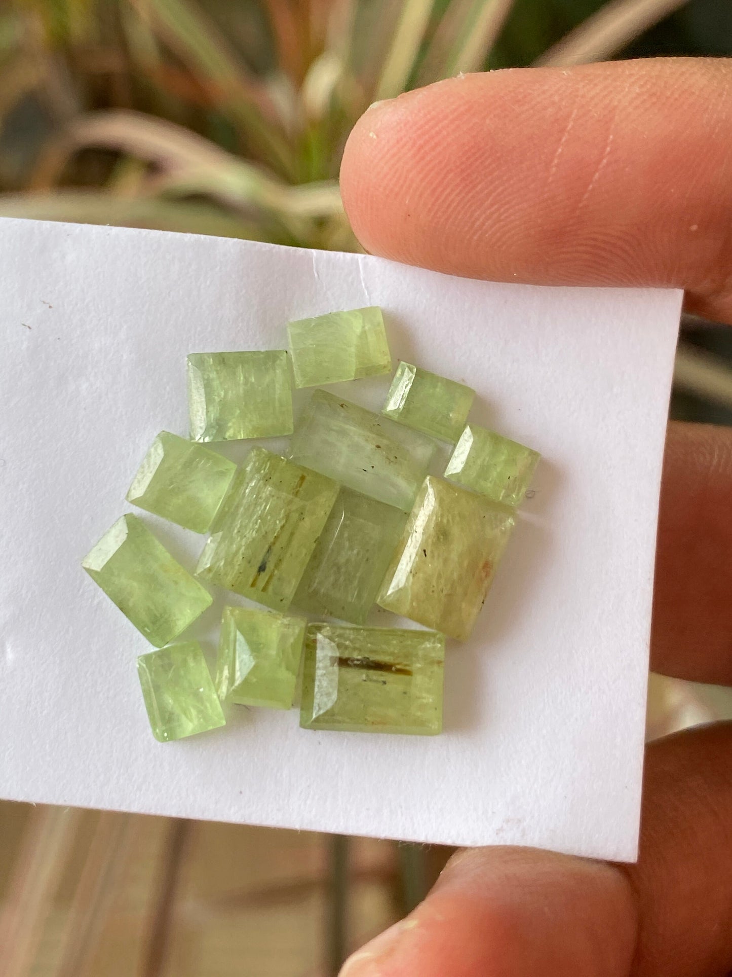 Nice rare parrot green Kyanite cushion stepcut flats quality wt 23 carats pcs 13 size 5x4mm-9x6mm aaa quality rosecut green kyanite