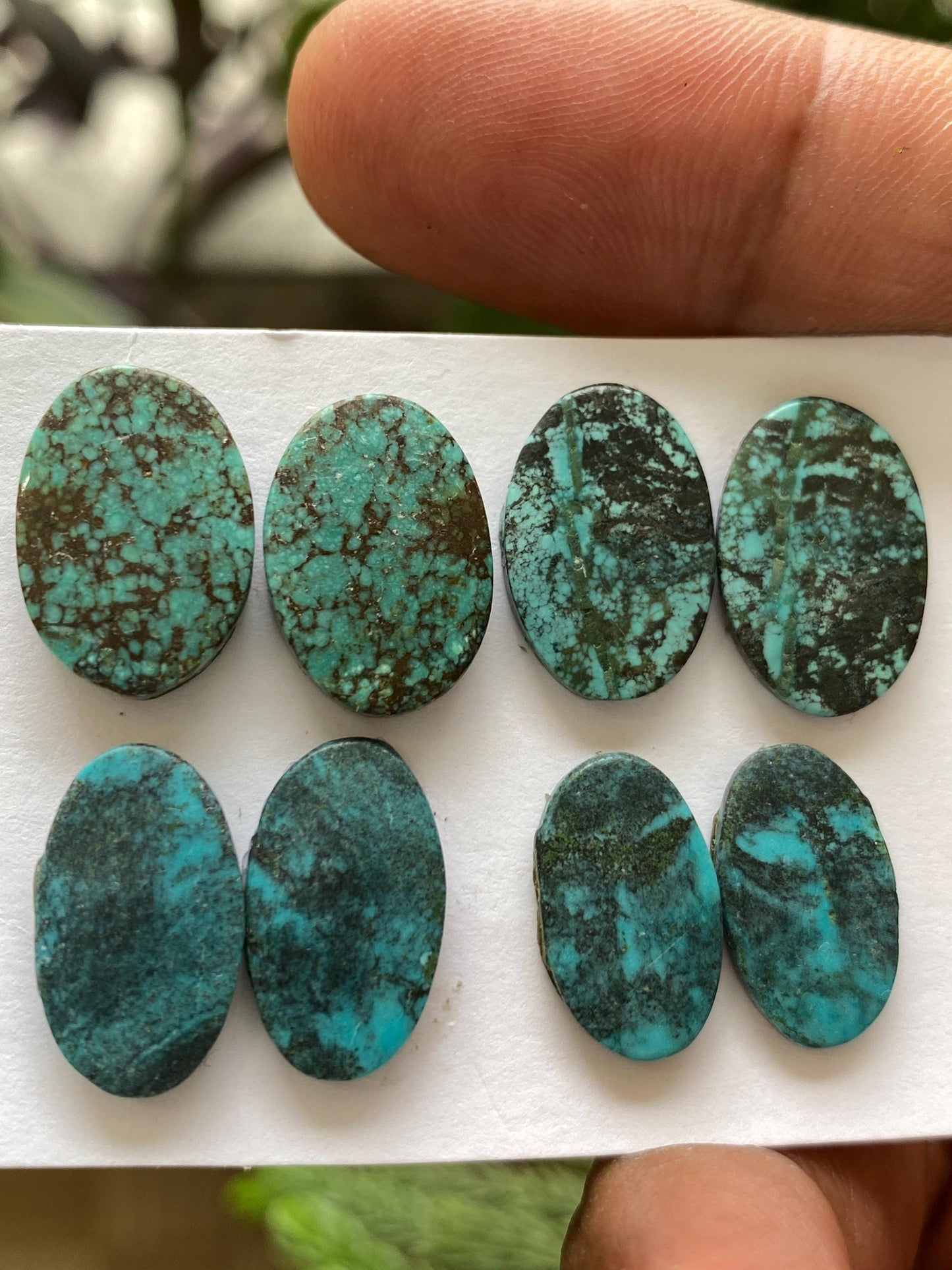 Amazing Turquoise pair natural hubei mines  pattern smooth turquoise pcs 8 wt 37.20 carats good size turquoise earrings supply