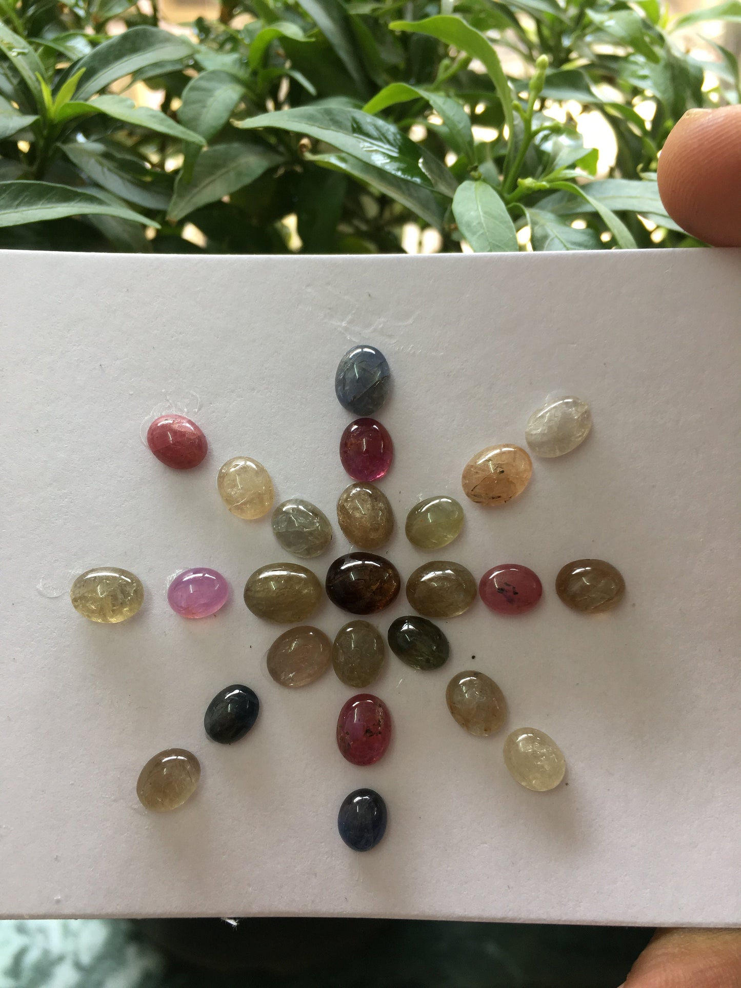 Rare cute umba natural sapphire unheated untreated sapphire cabochons weight 48.60 carats size 6x5mm to 8x6mm pieces 41