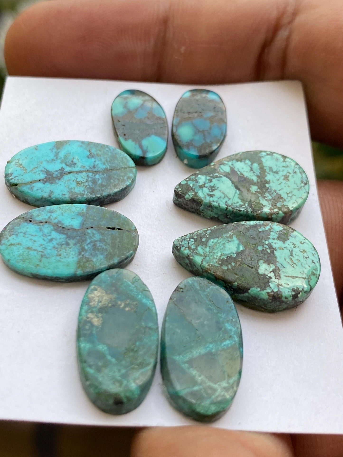 Vivacious Rare Turquoise pair natural hubei mines pattern smooth turquoise pcs 8 wt 47  carats size 16x8-20x12mm turquoise earrings supply