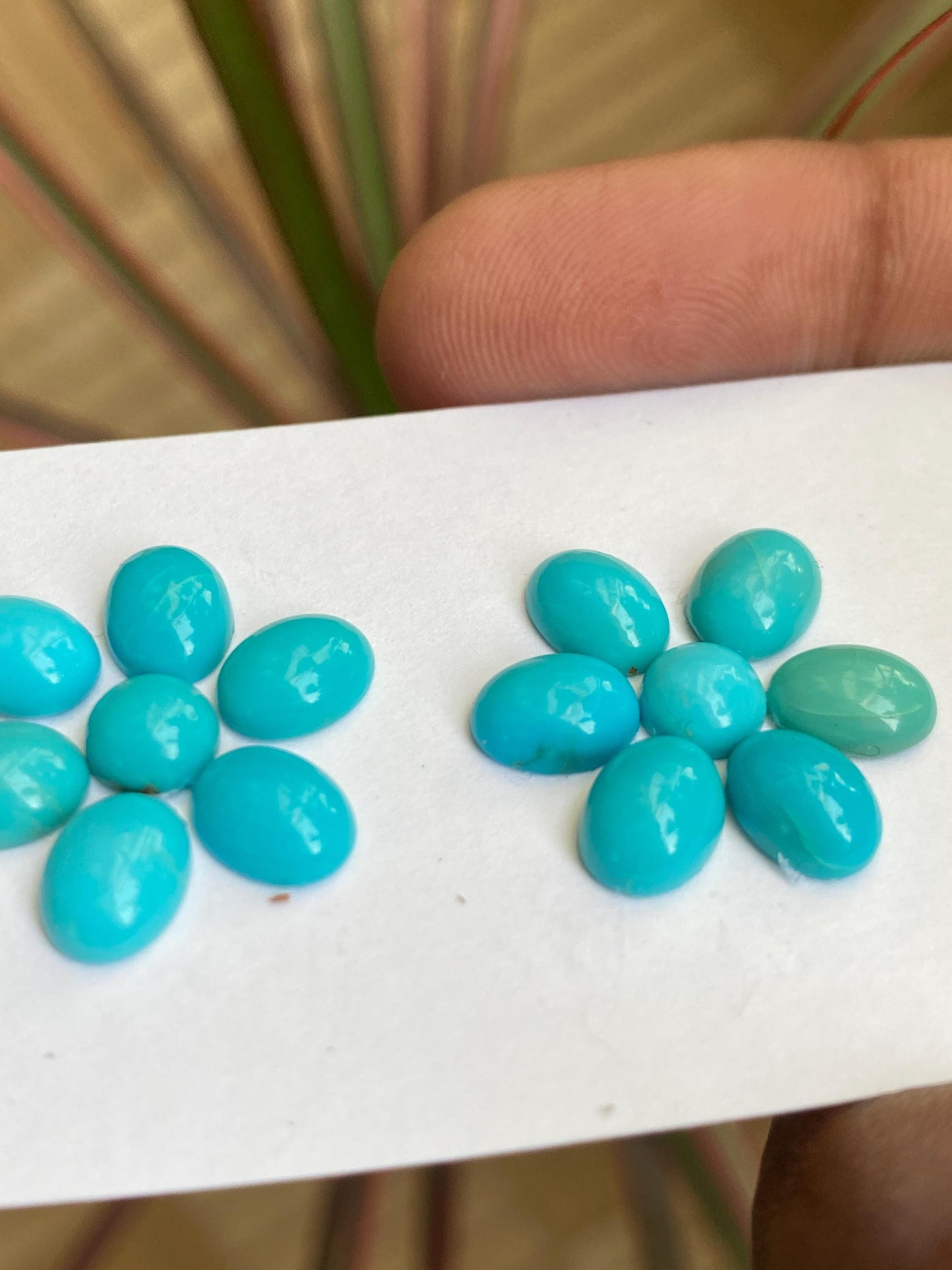 Rare Arizona mines Turquoise oval cabochons earrings supply natural smooth polished pcs 14 wt 14 carats 6.5mm-7x5mm  turquoise cabochons