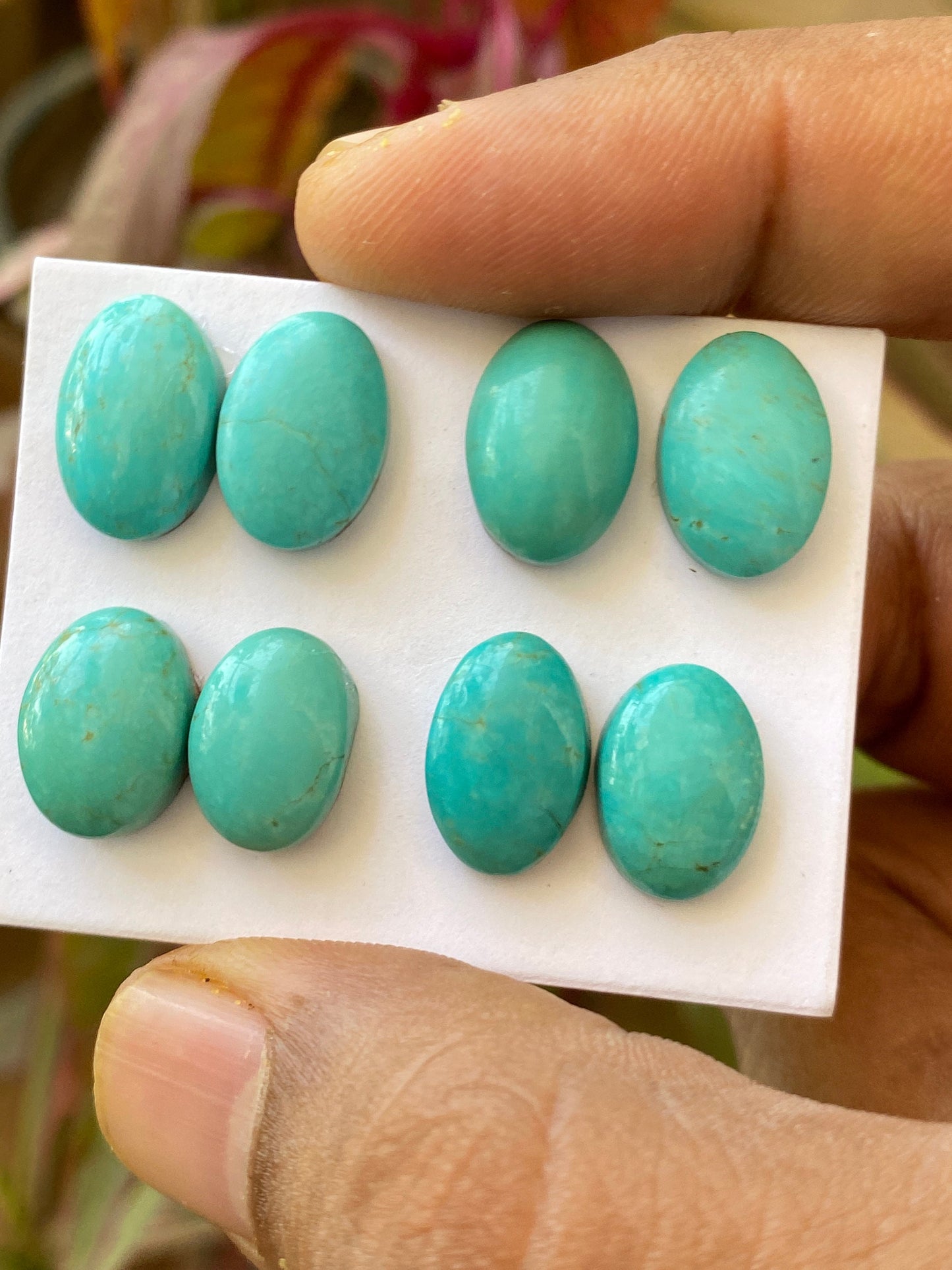 Awesome rare Turquoise cabochons pair earrings natural Arizona mines smooth ovals pcs 8 wt 41 carats 13x9-14x10mm turquoise cabochon