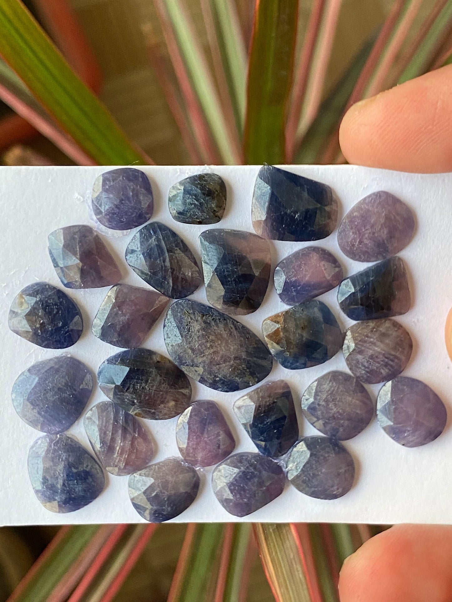 Fascinating Natural unheated untreated blue purple sapphire rosecut wt 83.50 cts pcs 25 8.7x7.7mm-18.5x11.3mm unheated blue sapphire rosecut