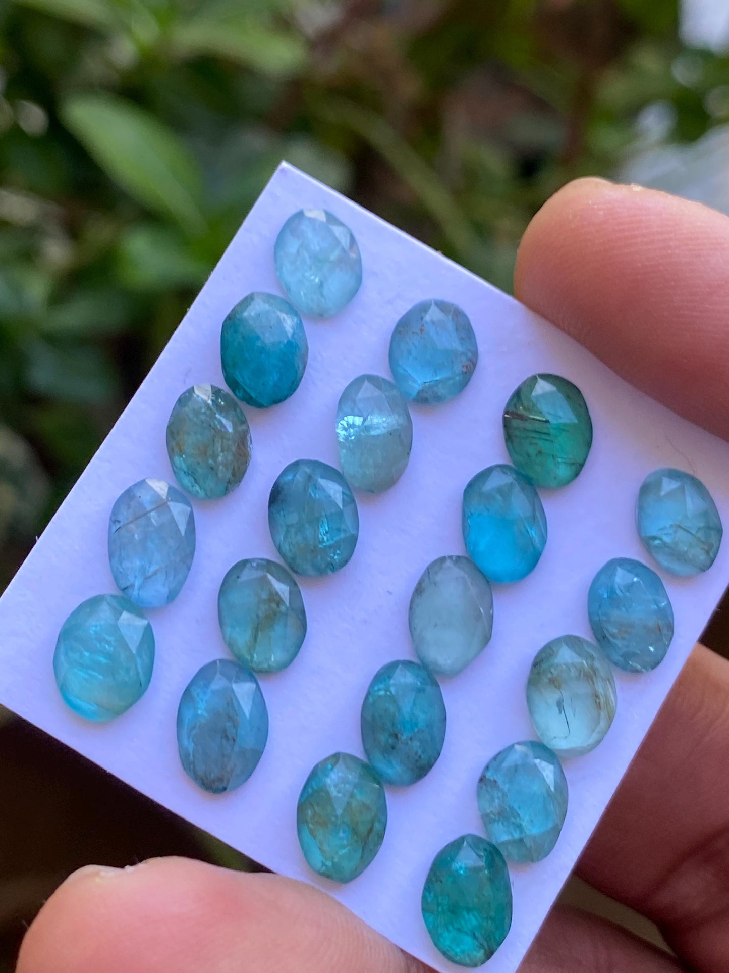 Gorgeous Blue green apatite rosecut wholesale lot weight 25.35 cts pcs 20 rosecut blue apatite flats Small size 7x6mm-9x6mm apatite rosecut