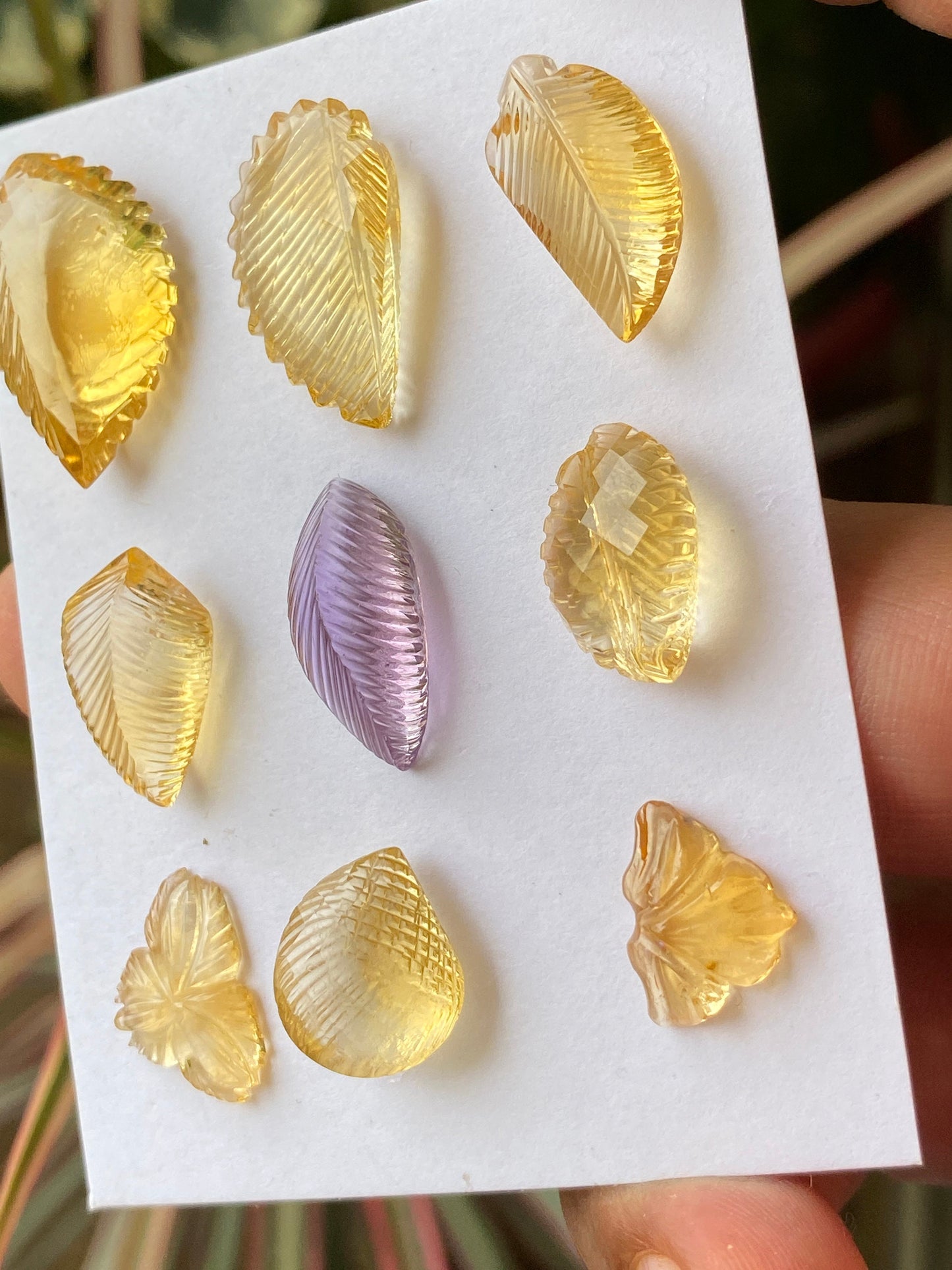 Vivacious Natural citrine amethyst hand carved wholesale lot wt 65.5 cts pcs 9 size 14x10mm-23.5x14mm citrine carving gemstone carving