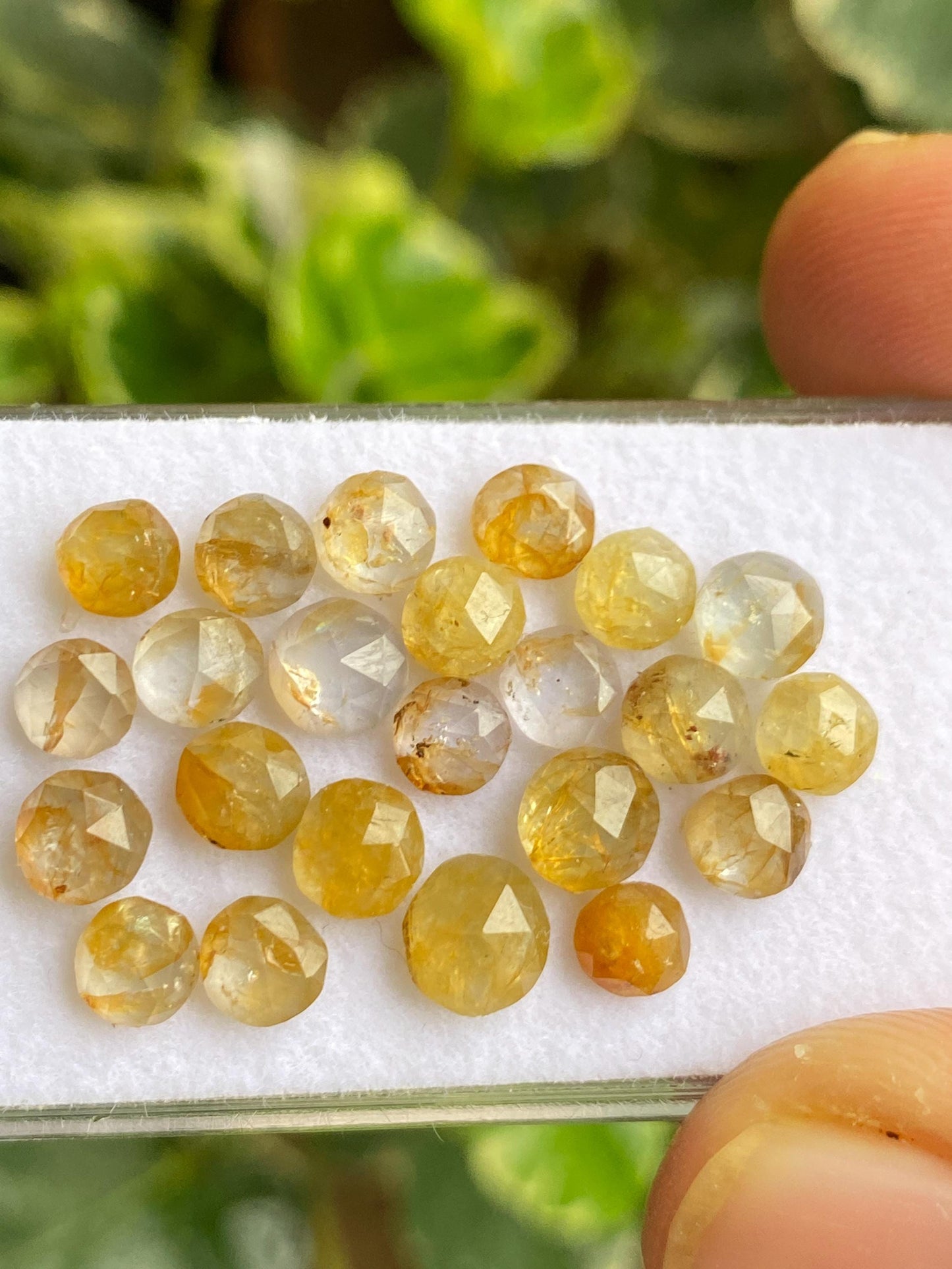 Fabulous very rare Kenya mines Bicolor yellow sapphire Bicolor rosecut wt 19 carats pcs 23 size  4.8mm-6mm sapphire round rosecut gems