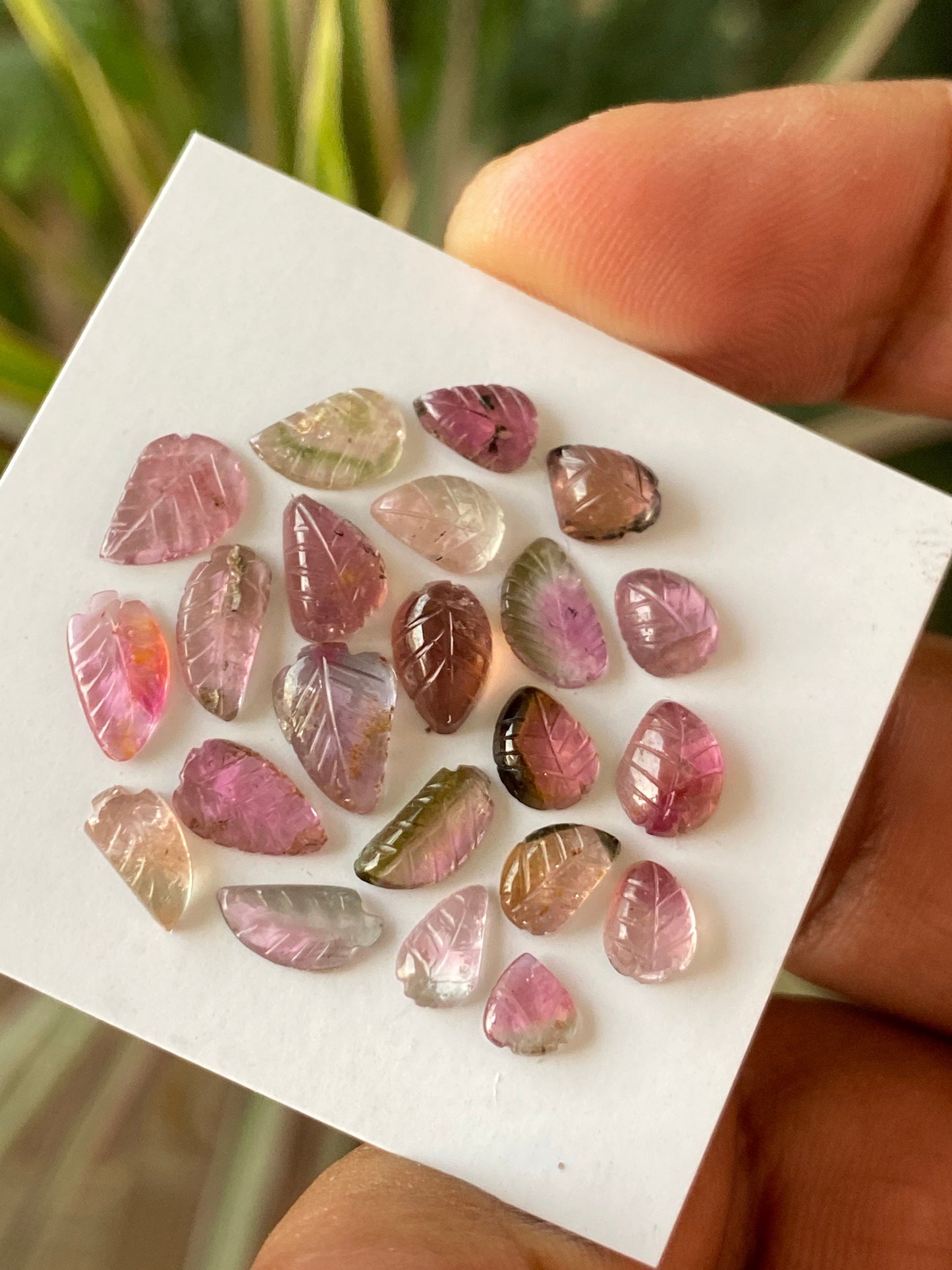 Fabulous Bicolor Watermelon tourmaline leaves carving  multi tourmaline carvings wt 15 carats pcs 22 size 5x4mm-9x6mm tourmaline leaves