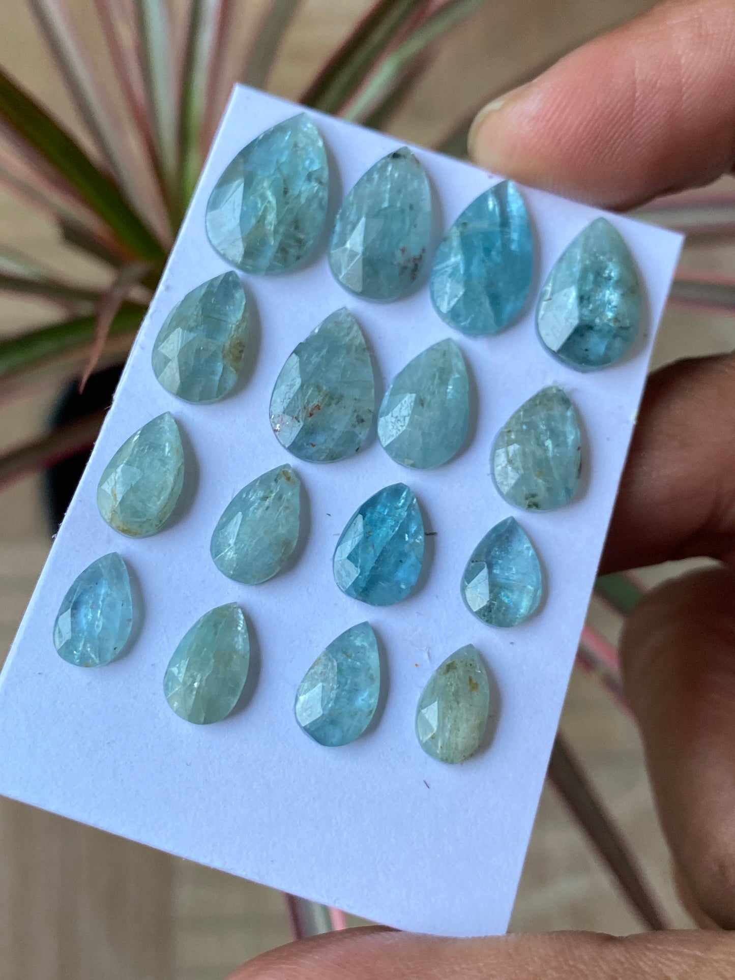 wow rare aqua color kyanite rosecut pear shape amazing quality lovely color weight 48 carats pieces 16 size 9.7x5.7mm-15.8x10mm rosecut gems