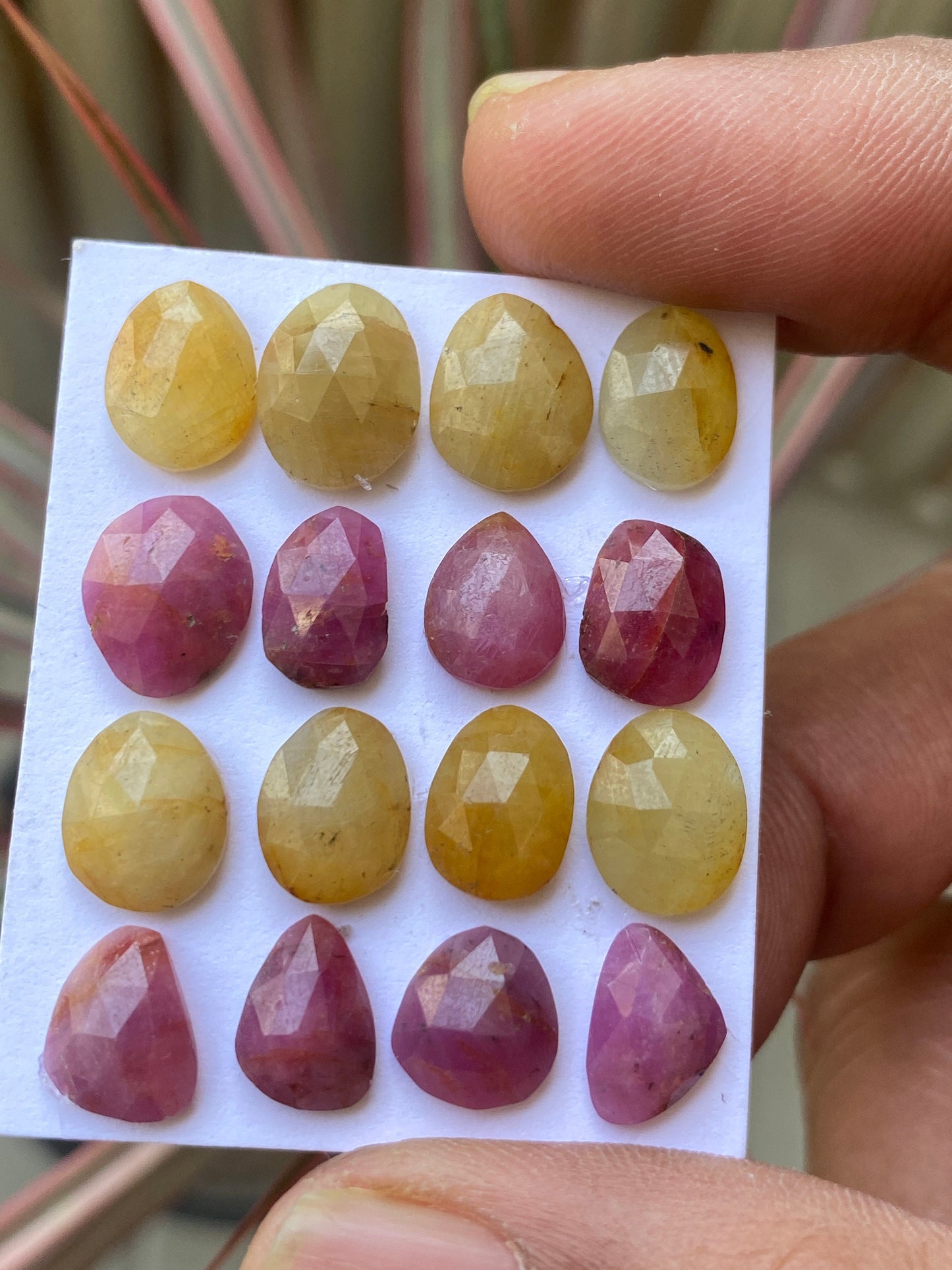 Cute very rare natural multi yellow  sapphire ruby rosecut lot oval pcs 16 wt 45 cts size 9.8x7.8mm-11x9mm  rosecut pink multi sapphire