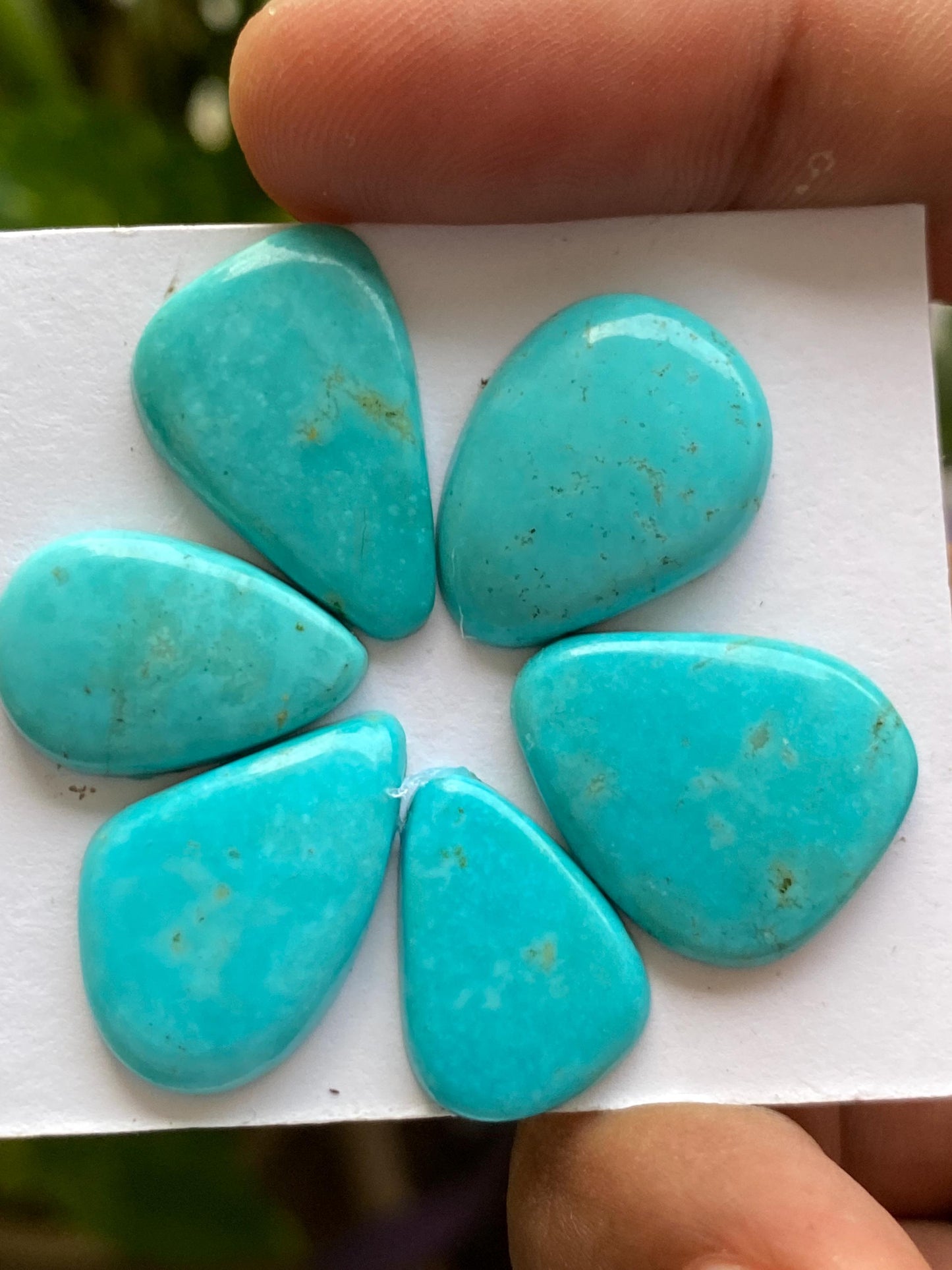 Amazing rare Arizona mines Turquoise cabochons flat natural smooth polished fancy pcs 6 wt 45 carats 19x13-20x17mm turquoise cabochons