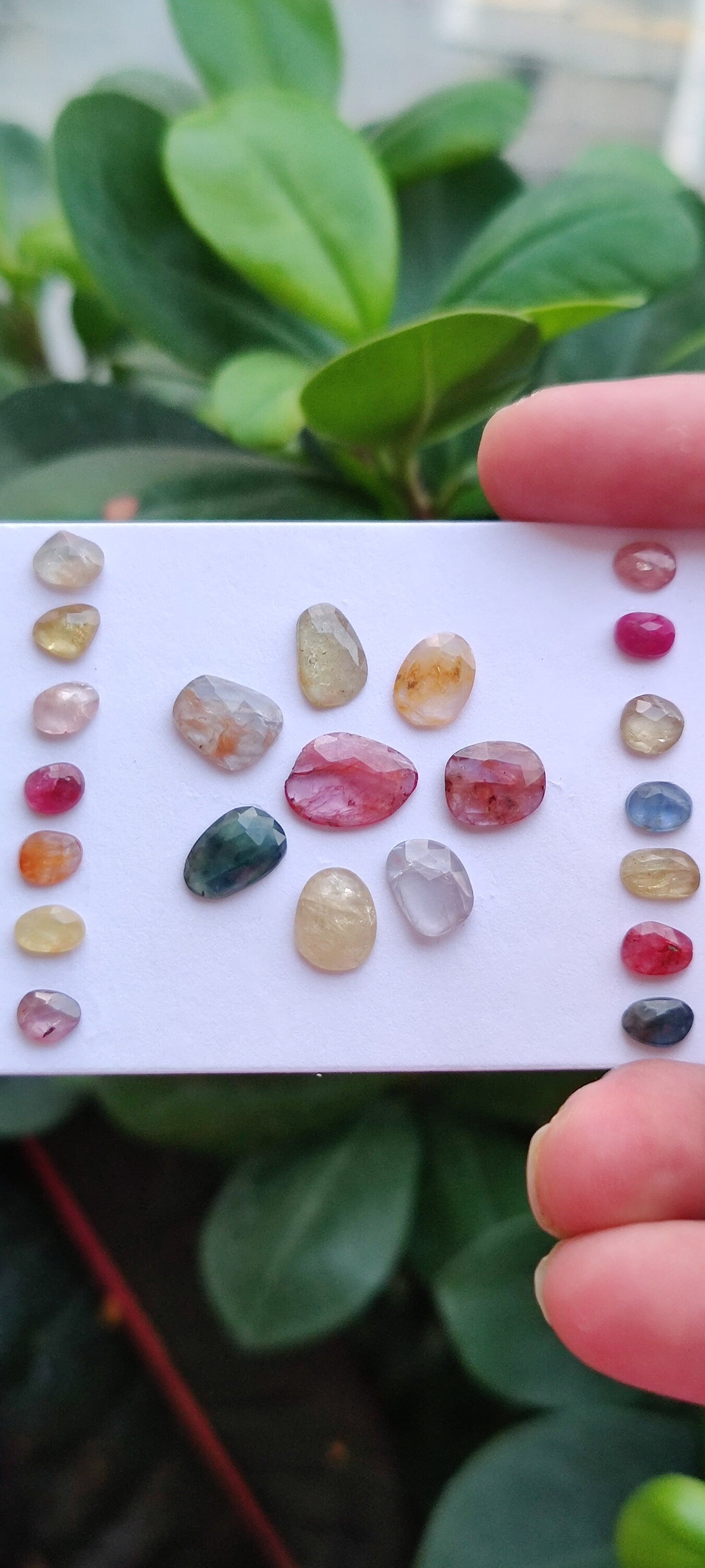 Vibrant rare unheated multi sapphire rosecut lot weight 28 pcs 22 Size 6.3x4.6mm-12.8x9.6mm amazing colors natural sapphires