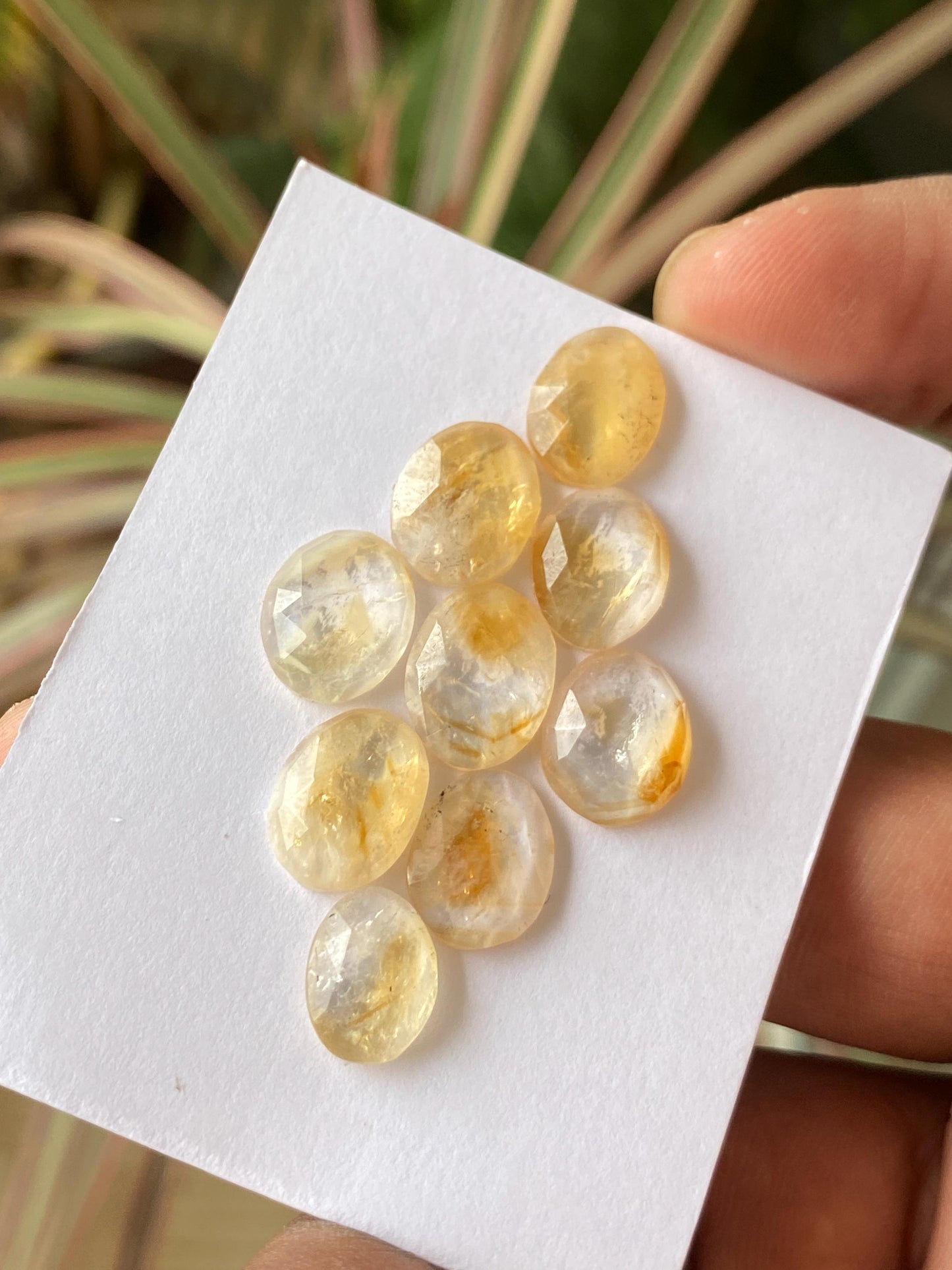 Lovely Bicolor Citrine rosecut bi color wholesale lot pcs 9 wt 29 carats good size 13x10-11x8mm natural citrine rosecut flatback