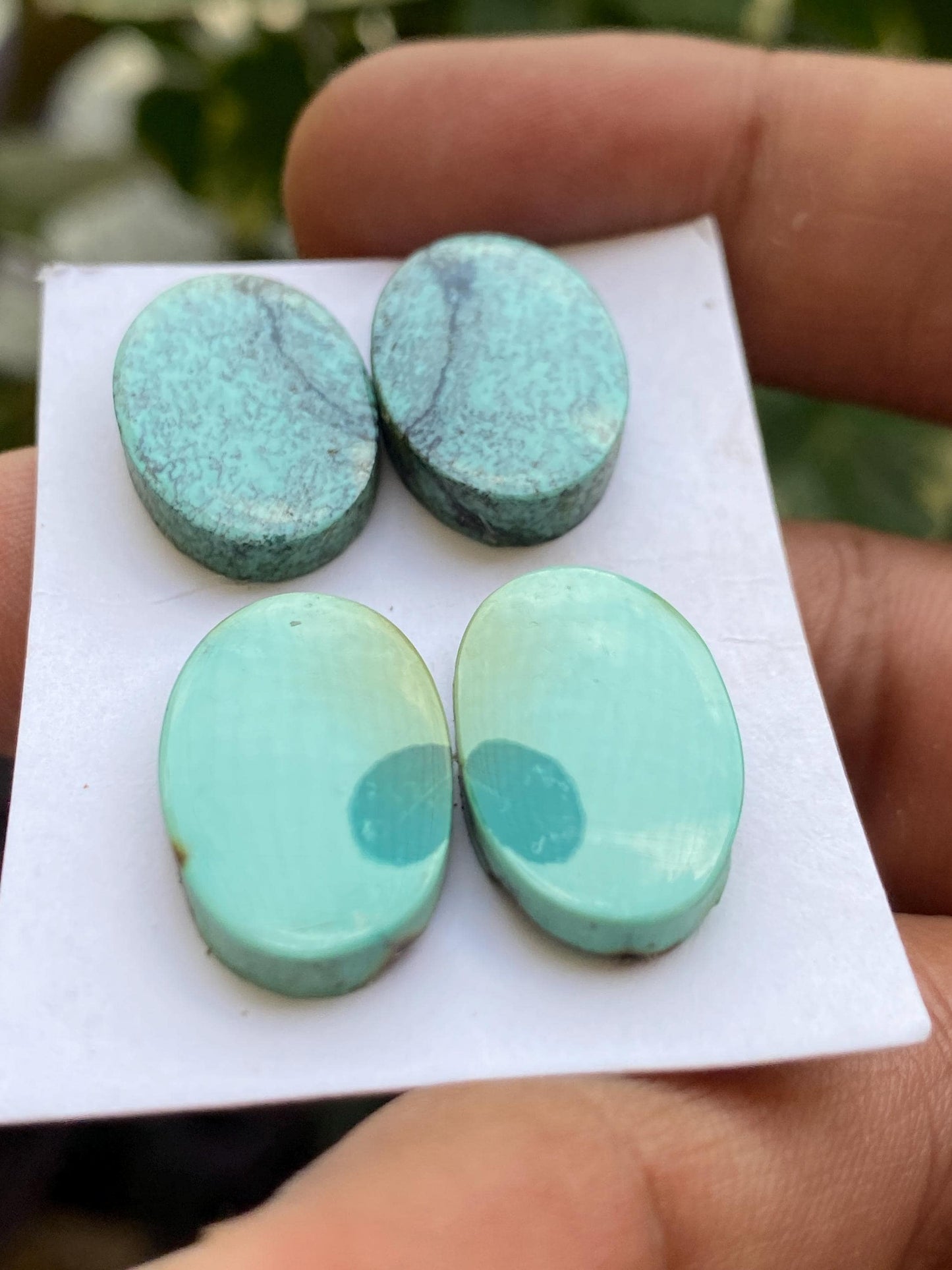 Awesome Turquoise pairs natural hubei mines smooth polished cloud mountain pcs 4 wt 42 carats 19x13mm-21x13mm turquoise earrings supply