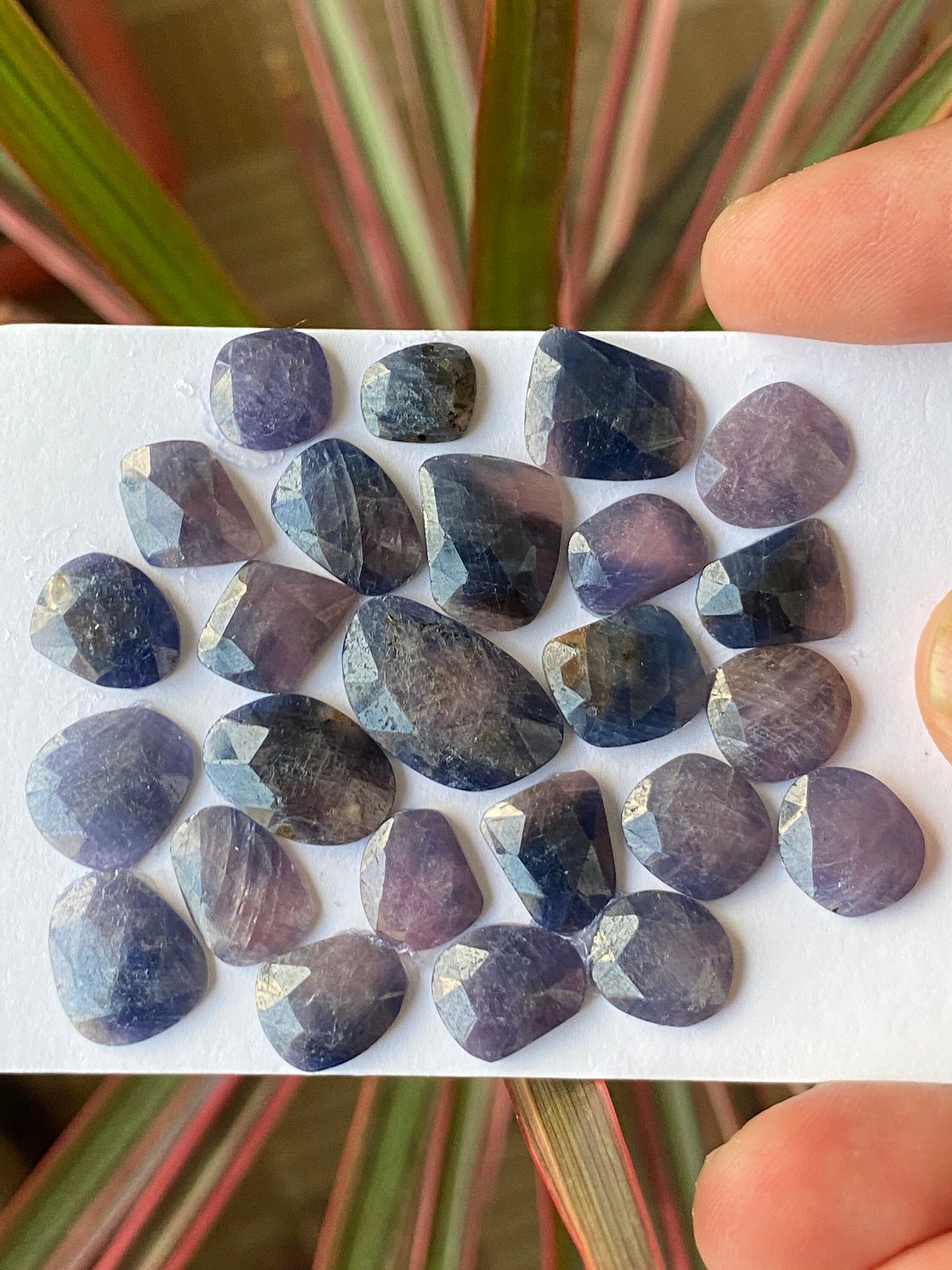 Fascinating Natural unheated untreated blue purple sapphire rosecut wt 83.50 cts pcs 25 8.7x7.7mm-18.5x11.3mm unheated blue sapphire rosecut