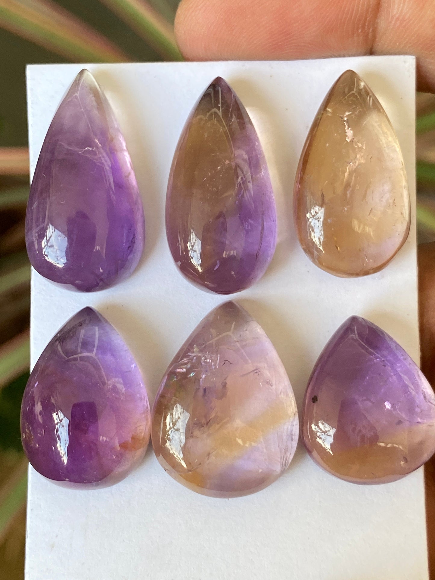 Fascinating Ametrine rare pear cabochons wire wrap supply Ametrine pcs 6 wt 169 cts size 21.5x17.5mm-29x15.5mm Ametrine pear pendant supply