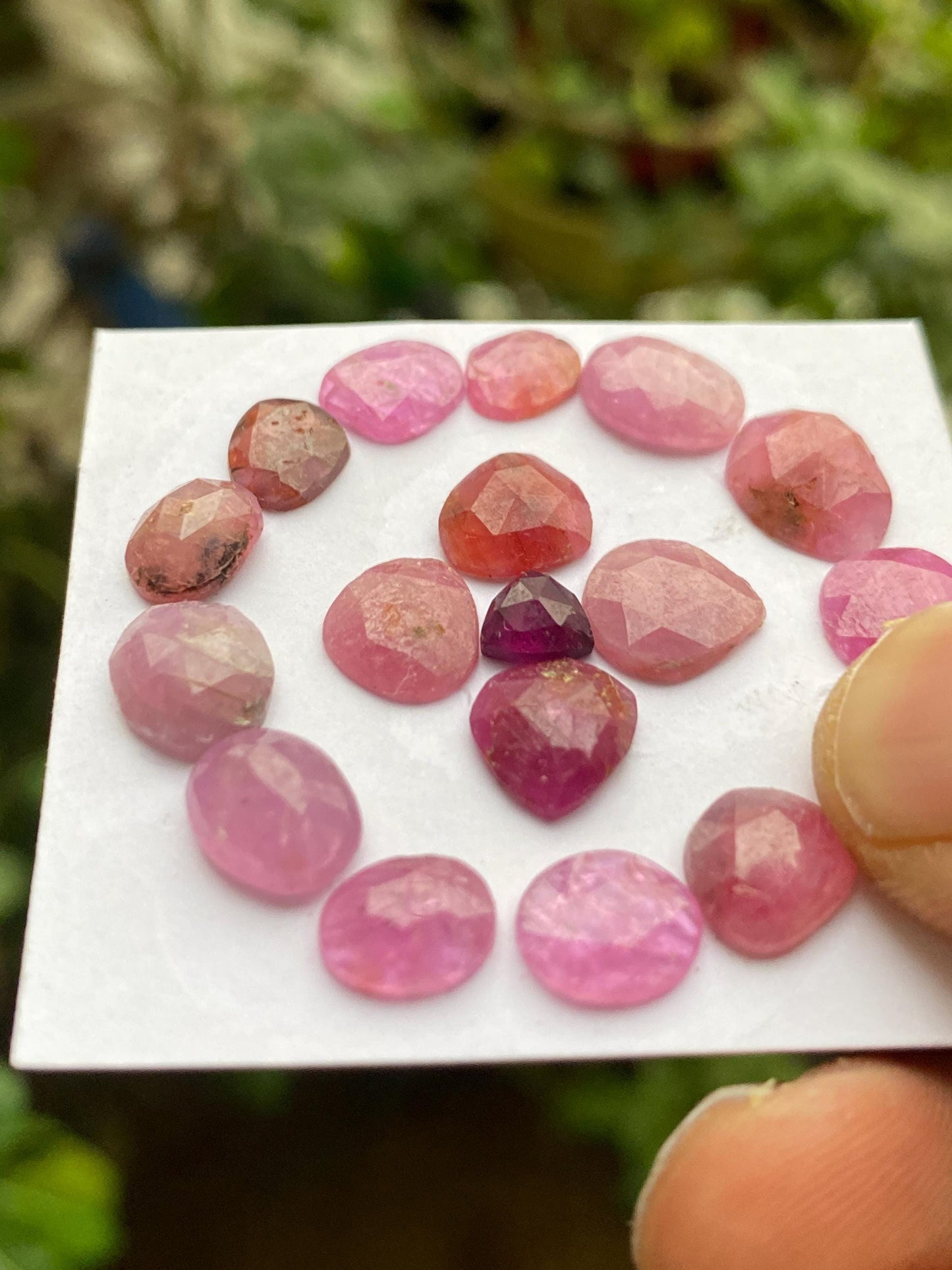 Stunning Rare mozambique mines ruby freeform heart egg rose cut wt 28 cts pcs 17 size 7x5.8mm-9.6x7.8mm ruby rosecut flatbacks