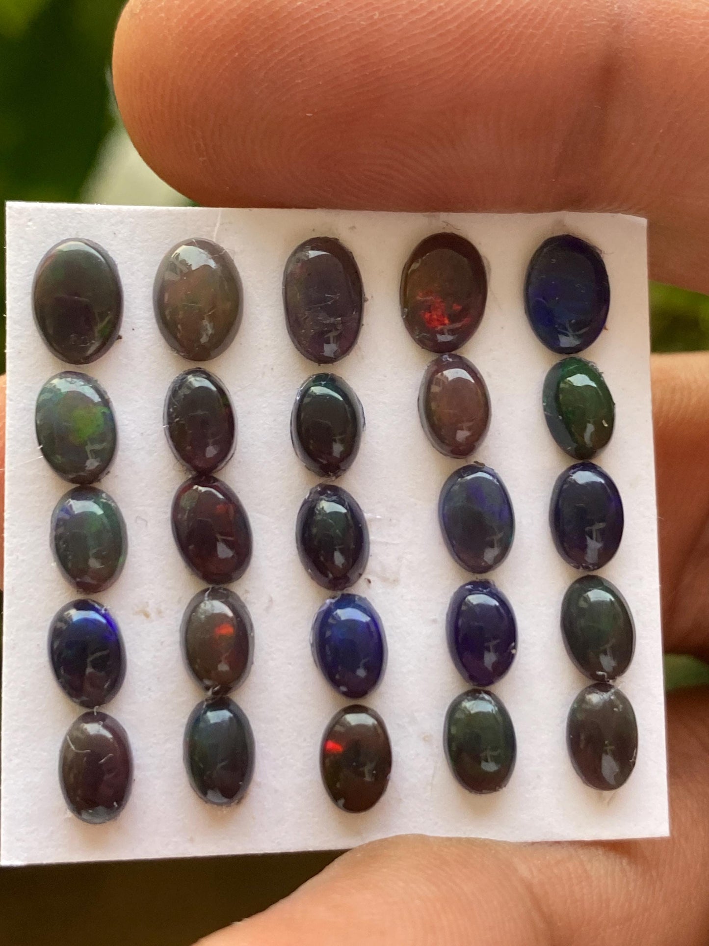 Stunning Black opal (smoked) Natural Fire opal cabochons lot size wt 8.5 cts size 6x4-7x5mm pcs 20 opal cabochon fire black opals cabochons