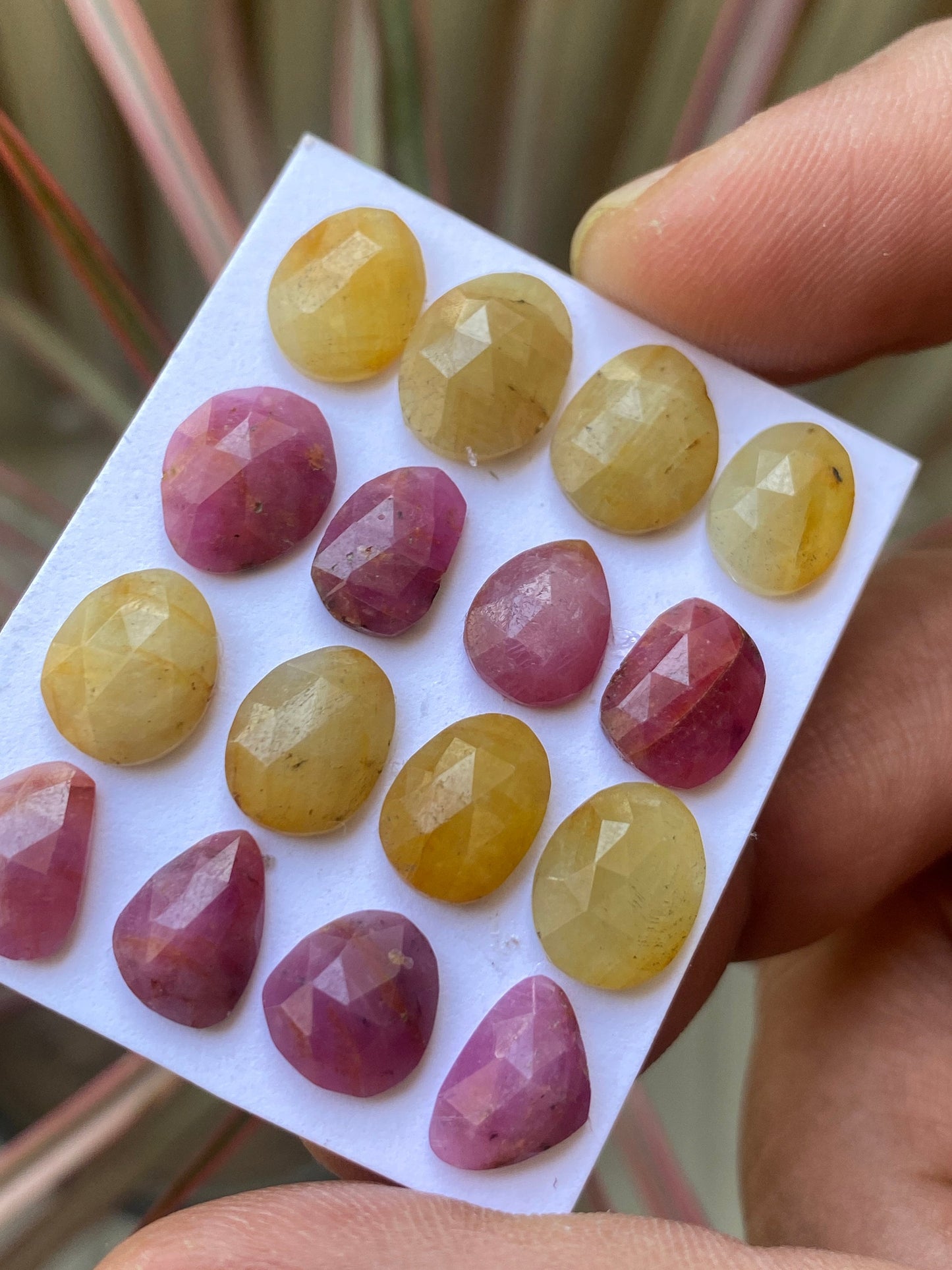 Cute very rare natural multi yellow  sapphire ruby rosecut lot oval pcs 16 wt 45 cts size 9.8x7.8mm-11x9mm  rosecut pink multi sapphire