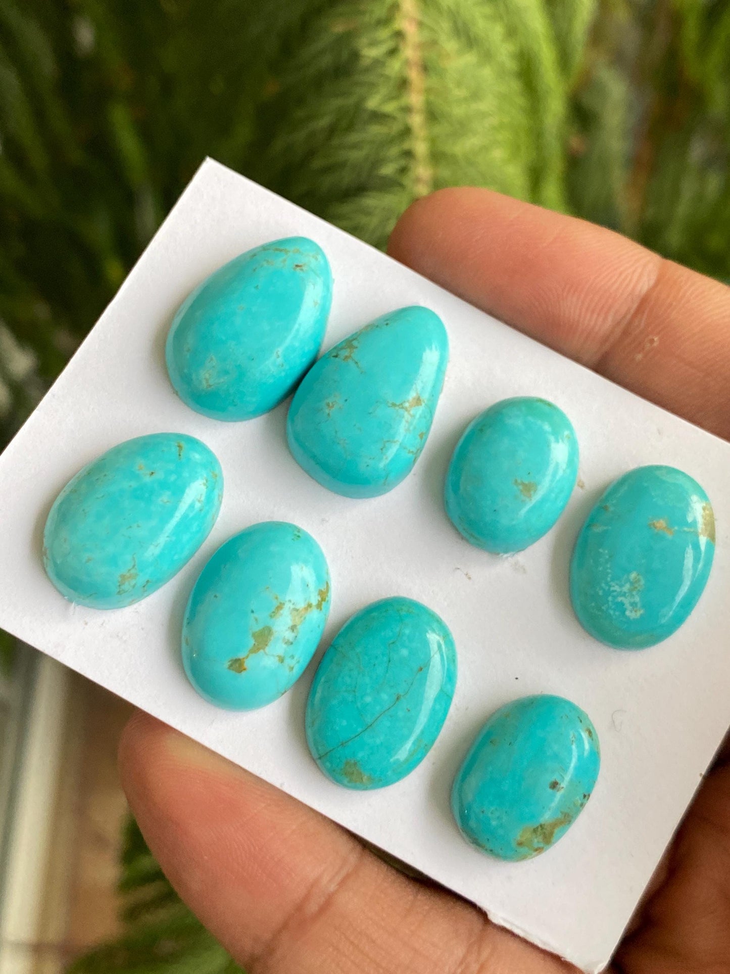 Stunning rare Arizona mines Turquoise cabochons  natural smooth polished ovals pcs 8 wt 91 carats 17x12-22x14mm turquoise cabochons oval