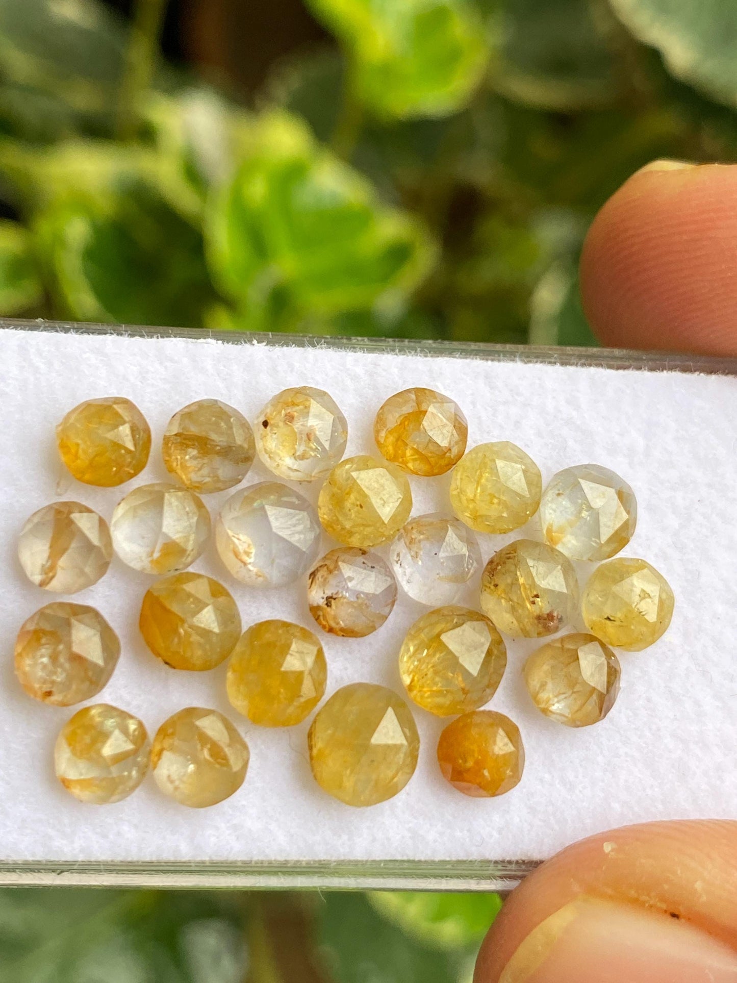 Fabulous very rare Kenya mines Bicolor yellow sapphire Bicolor rosecut wt 19 carats pcs 23 size  4.8mm-6mm sapphire round rosecut gems