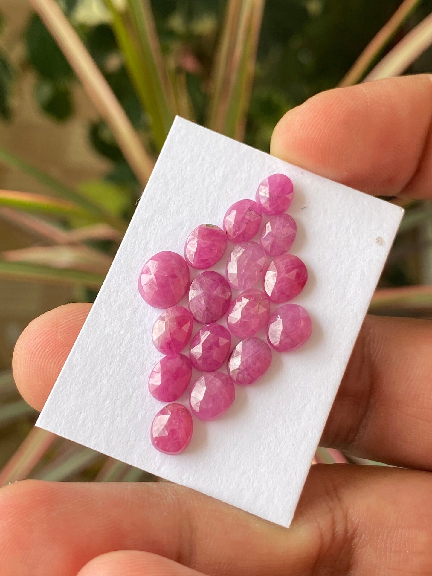 Exquisite very rare natural ruby rosecut lot  oval shapes mozambique pcs 16 wt 24 cts size 6.8x5.5mm-8.8x7.4mm unheated ruby rosecut