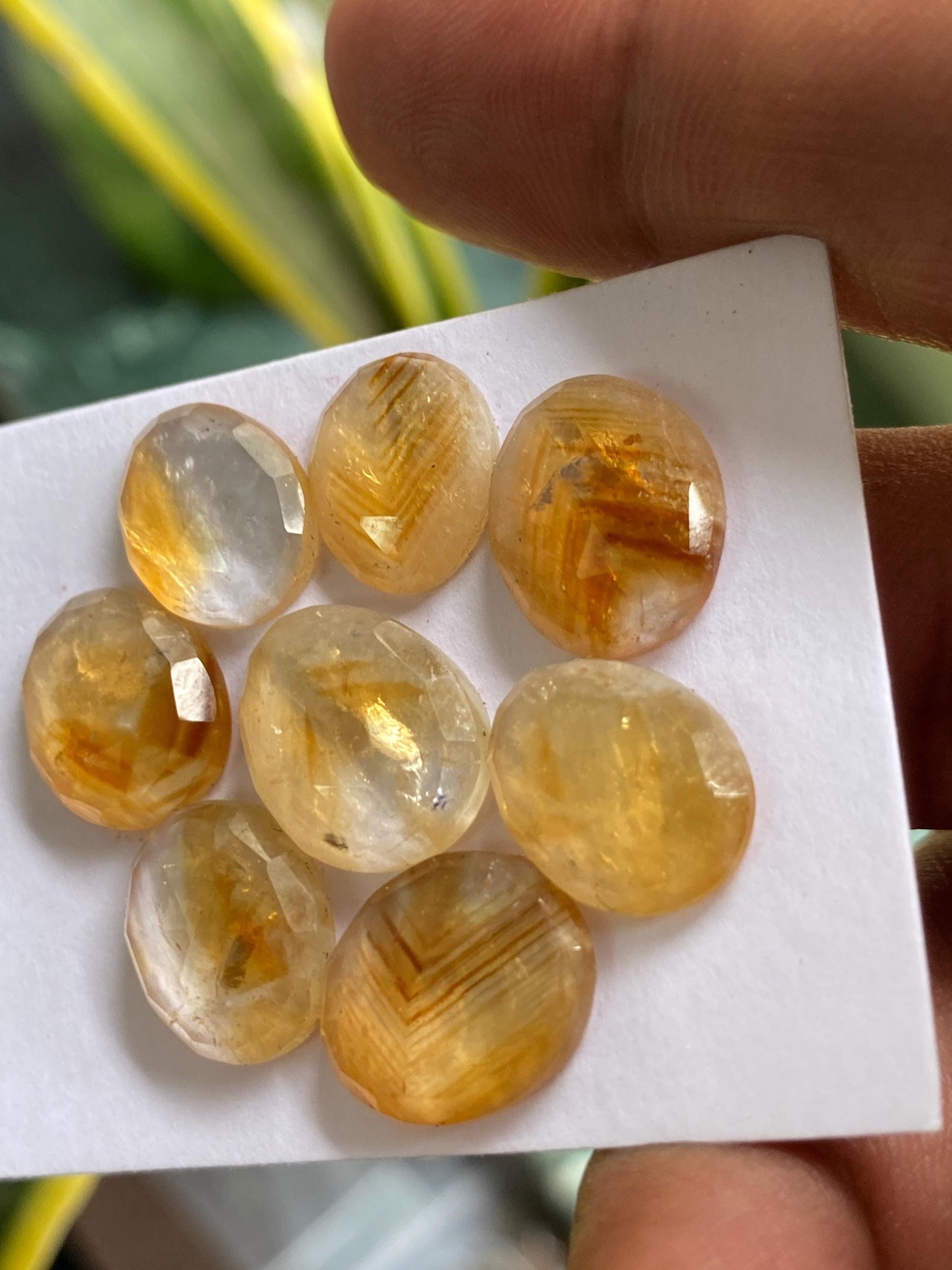 Dazzling Bicolor Citrine rosecut bi color wholesale lot pcs 8 wt 36 carats good size 12x10mm-14x11mm natural citrine rosecut flatback