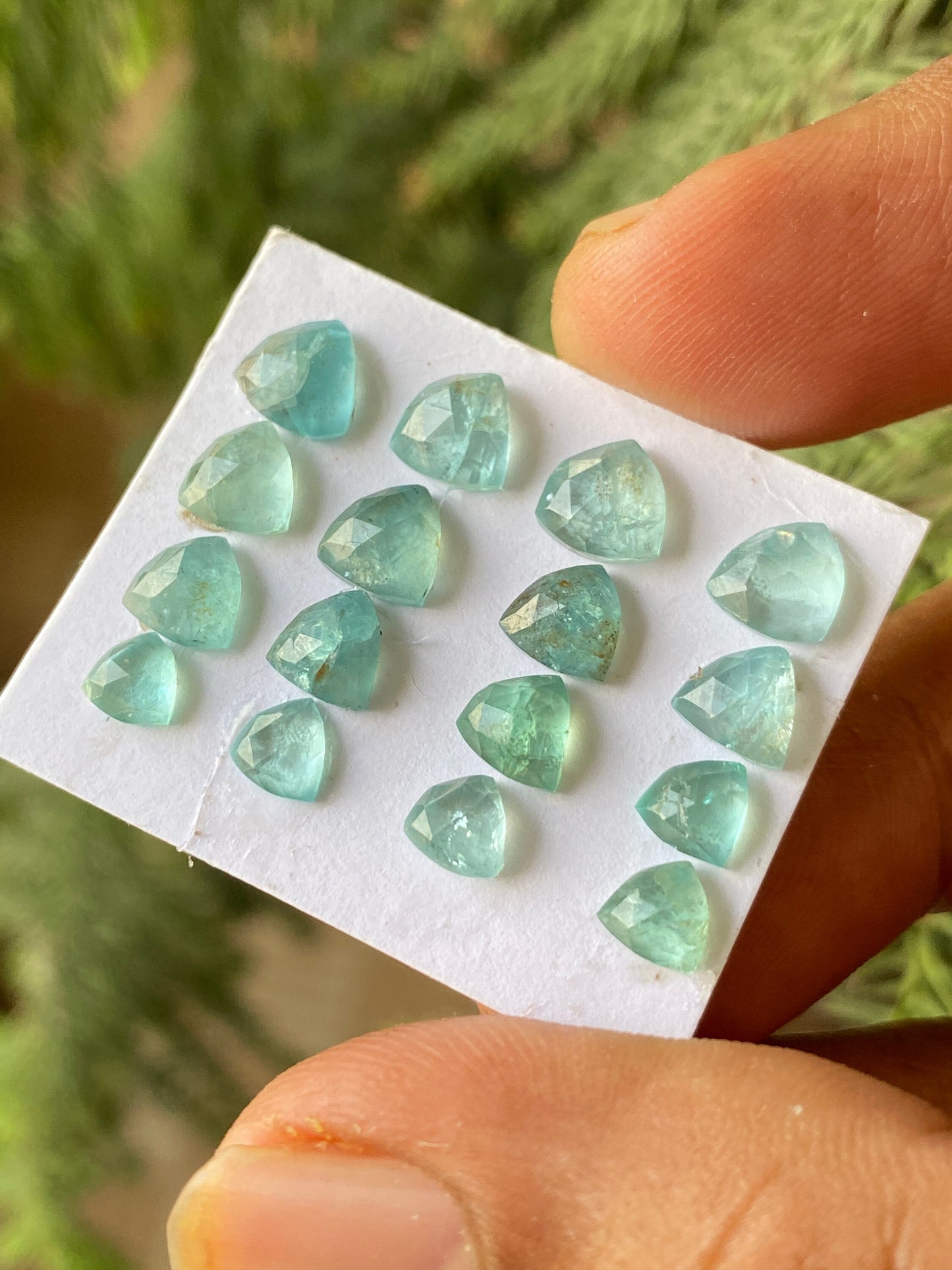 Fabulous Blue green apatite rosecut lot trilliom weight 13.45 carats pcs 16 rosecut blue apatite flats Small size 5mm-6.8mm apatite rosecut