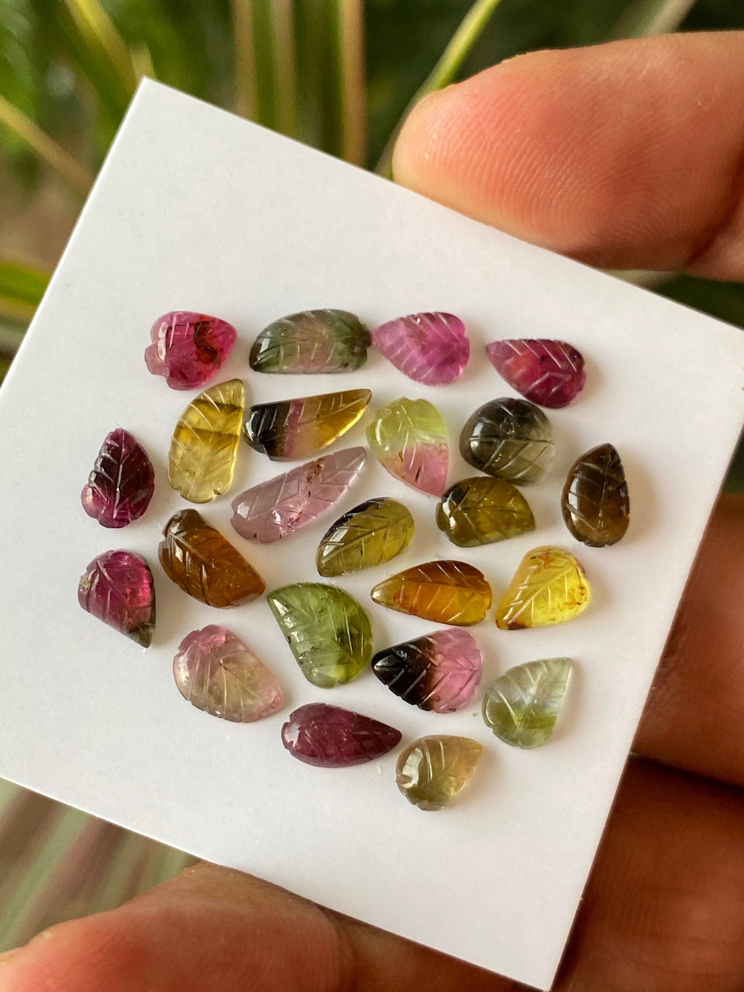 Vivacious Bicolor Watermelon tourmaline leaves carving  multi tourmaline carvings wt 19 carats pcs 23 size 6x4mm-12x4mm tourmaline leaves