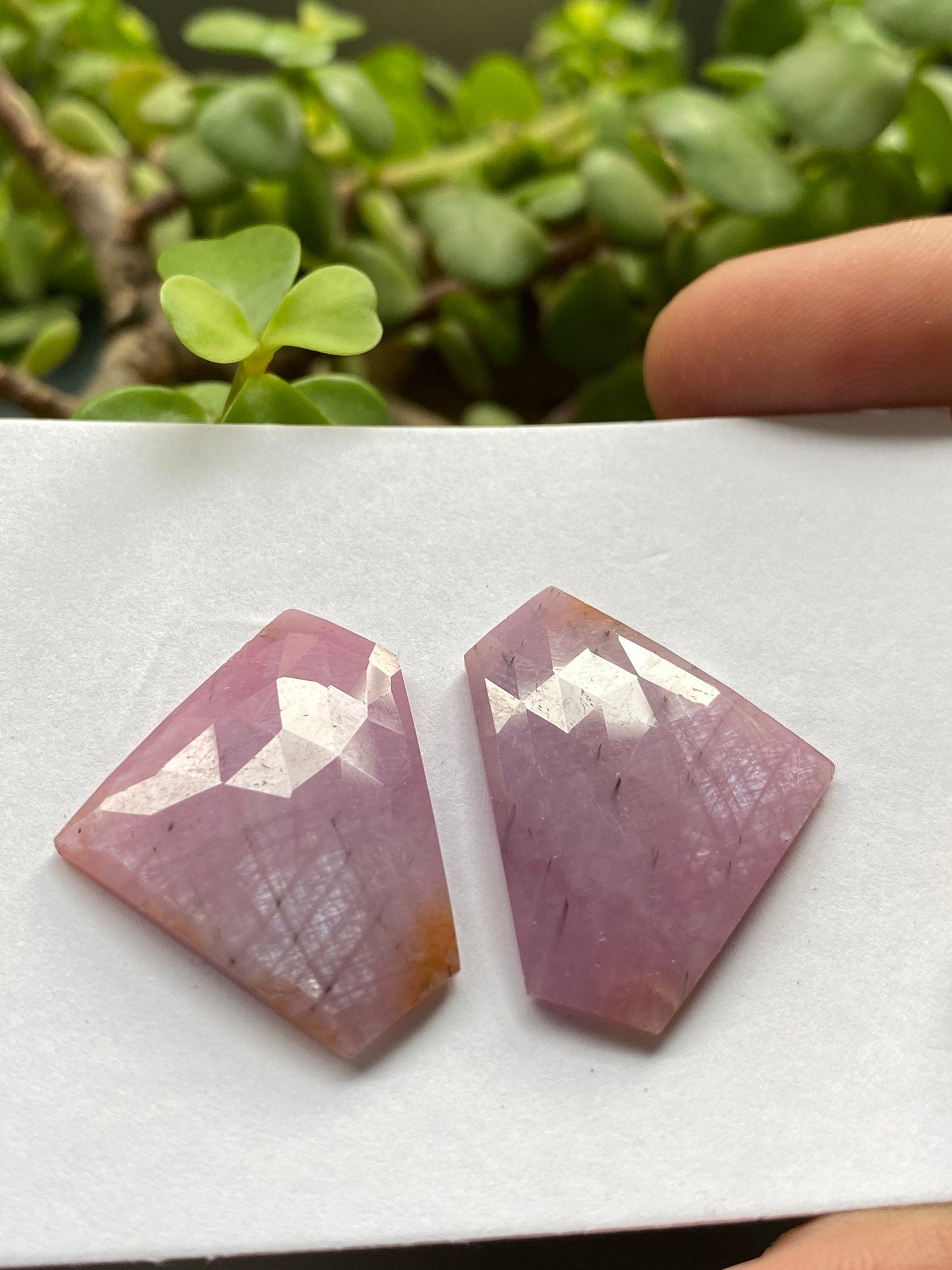 Very rare fancy pink Sapphire rosecut earring pair weight 53.15 carats size 30.5x23mm rare unheated sapphire fancy matched pair