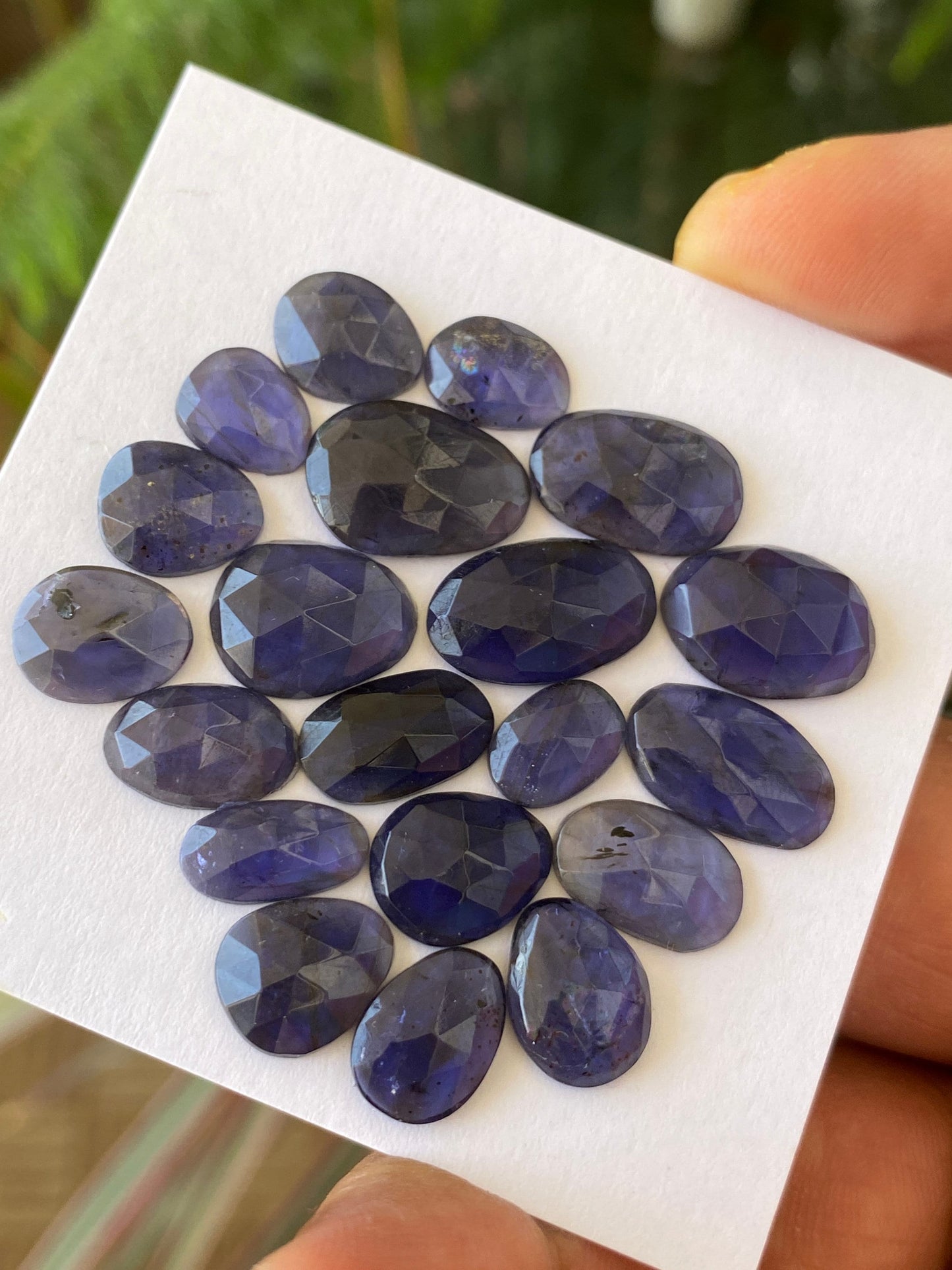 Stunning Rare iolite rosecut wholesale lot fine quality weight 39 carats size 9x7mm-15x11mm pcs 20 iolite rosecut