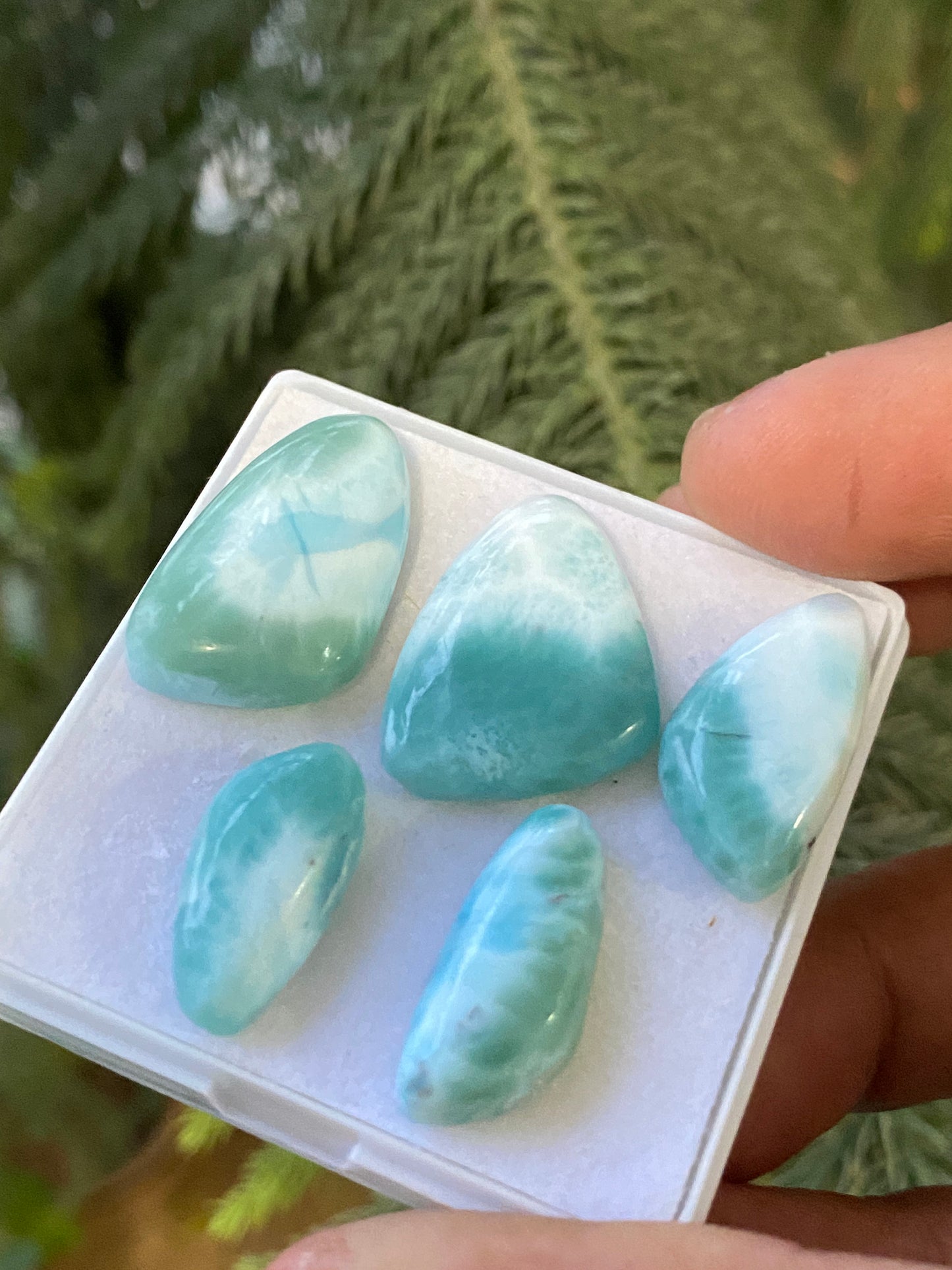 Dazzling rare Smooth Larimar cabochons pcs 5 pendant supply  wt 69 carats size 19x10-21x15mm  natural Larimar cabochons fancy shape