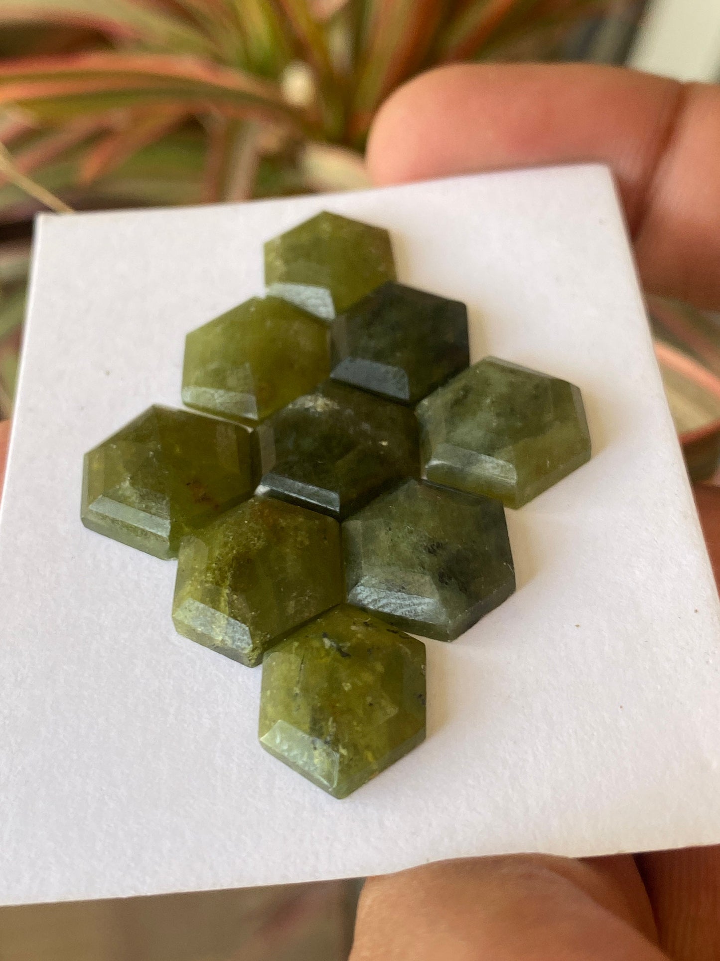 Cute vesuvianite hexagon stepcut wholesale lot weight 55 carats pcs 9 size 13x12-15x14mm flatback gems